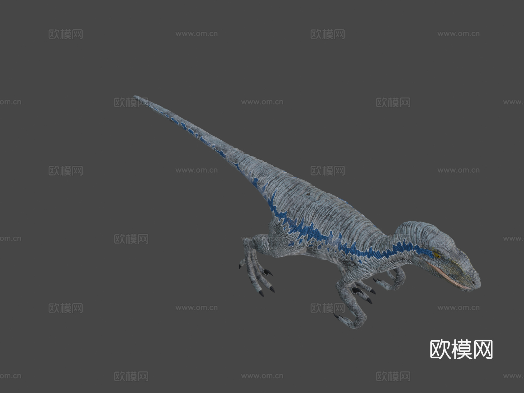 蓝色行走循环su模型下载（渲染图8）