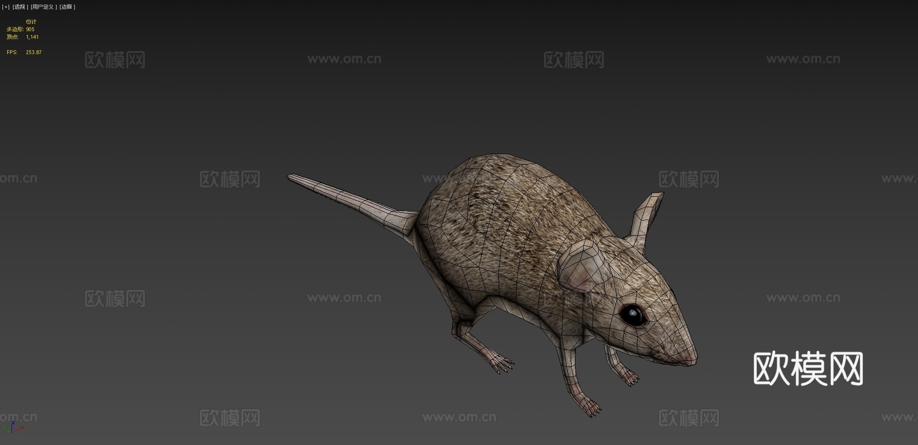 RT鸟类与小动物老鼠su模型