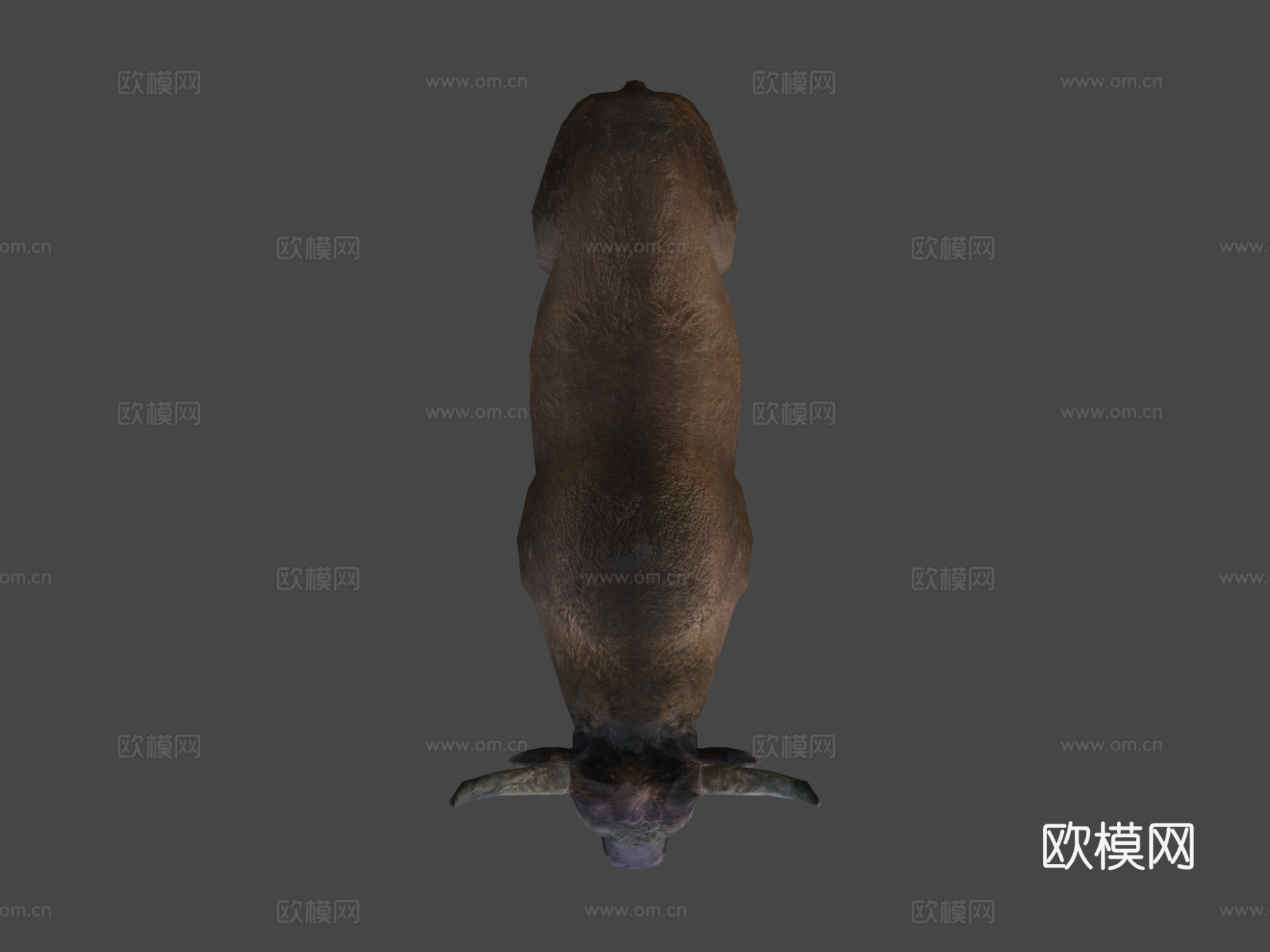 家养牦牛低多边形su模型