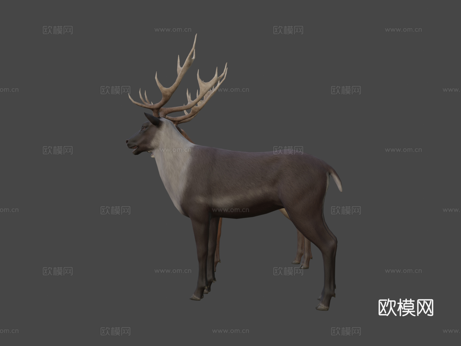 鹿纹理测试su模型