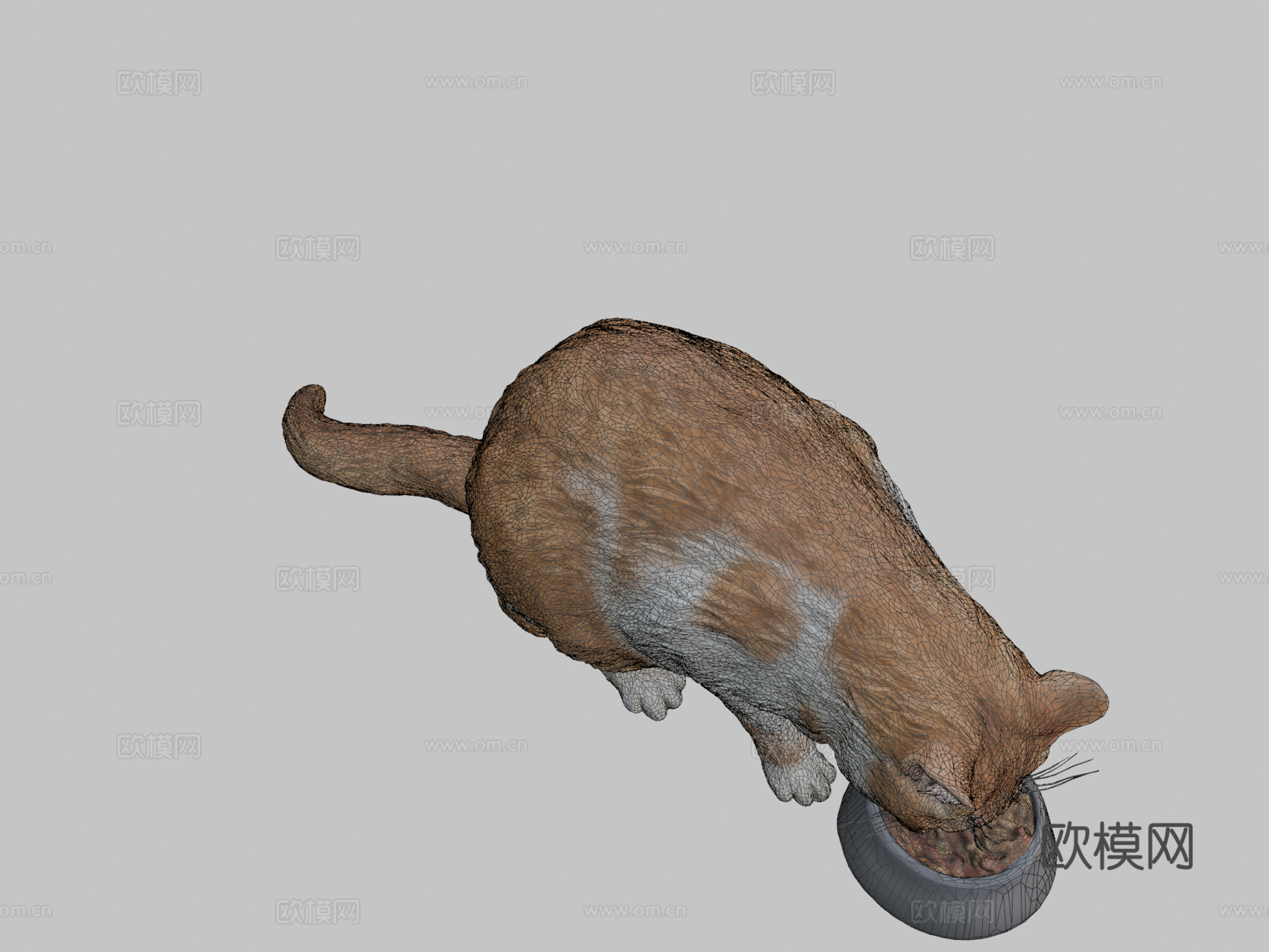 进食的猫12su模型