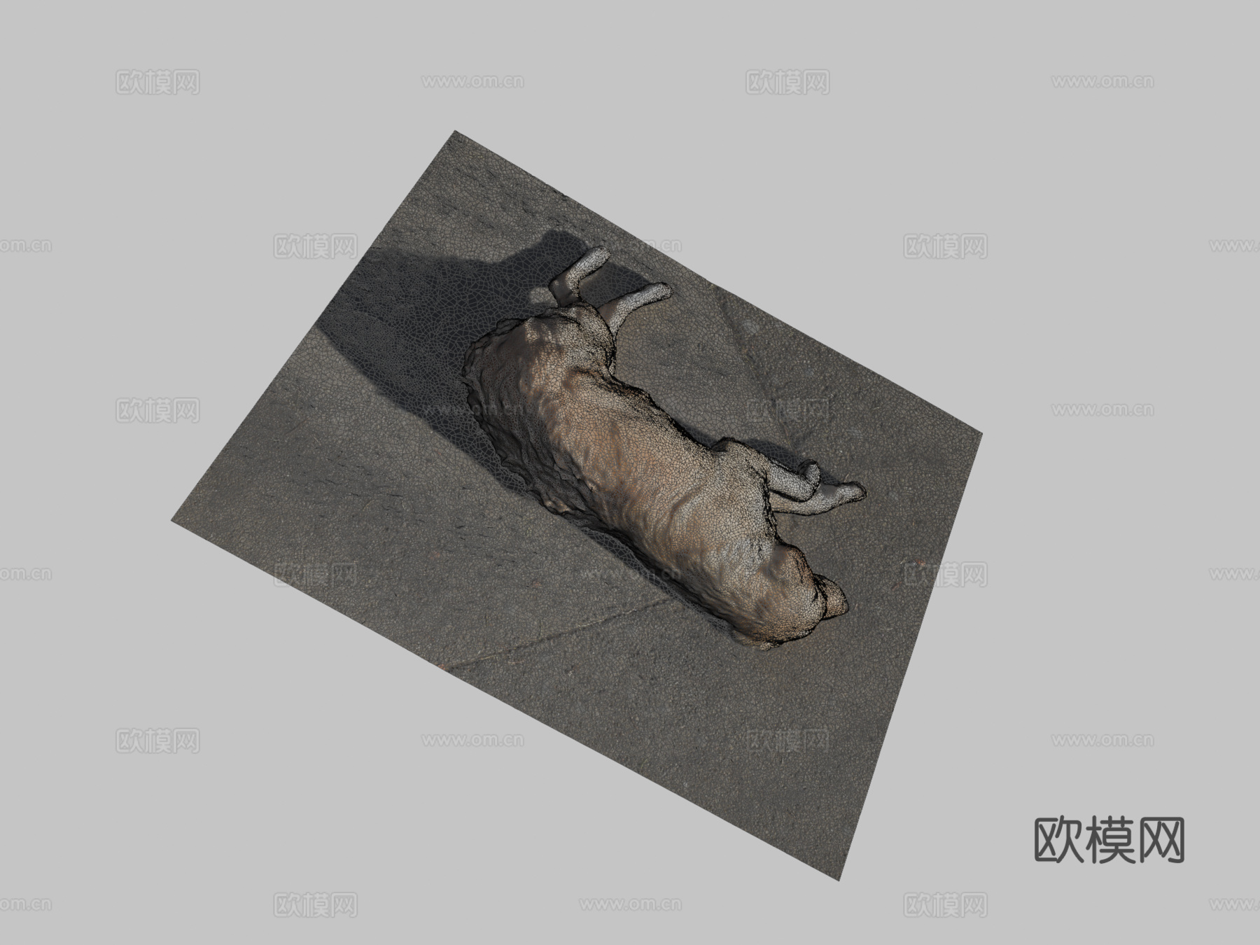 第比利斯流浪狗su模型