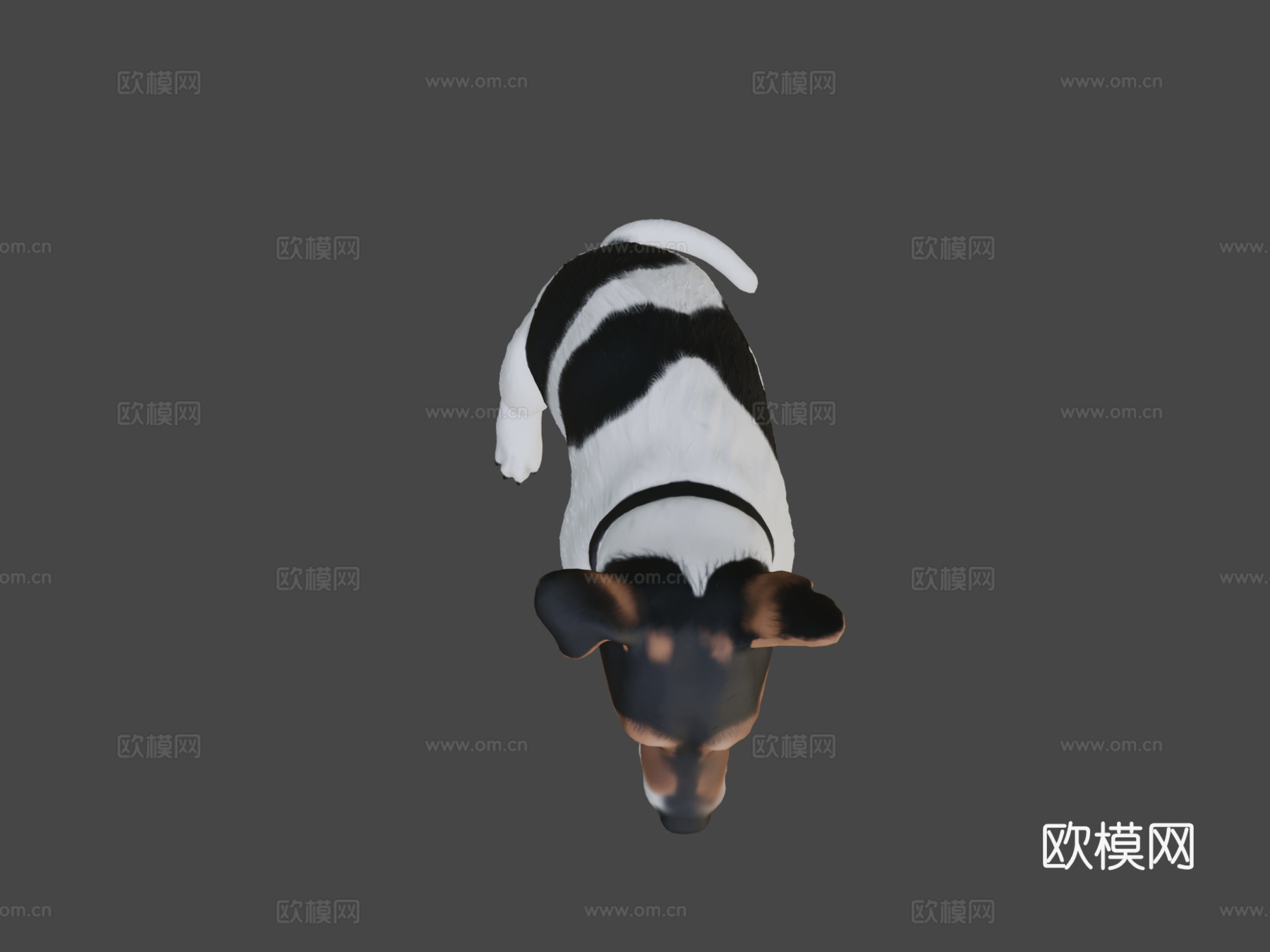 西斯科狗su模型