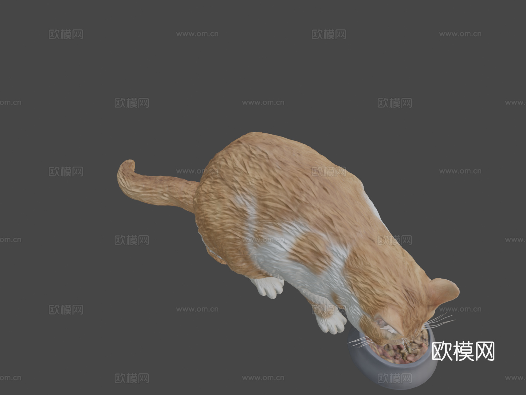 进食的猫12su模型