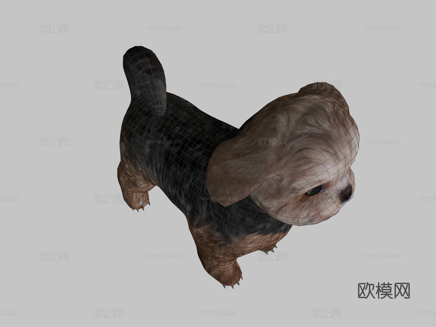 西施犬品种低多边形su模型