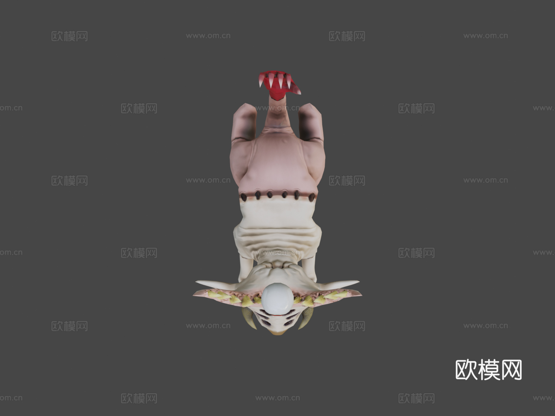 流浪猫斯基特斯su模型