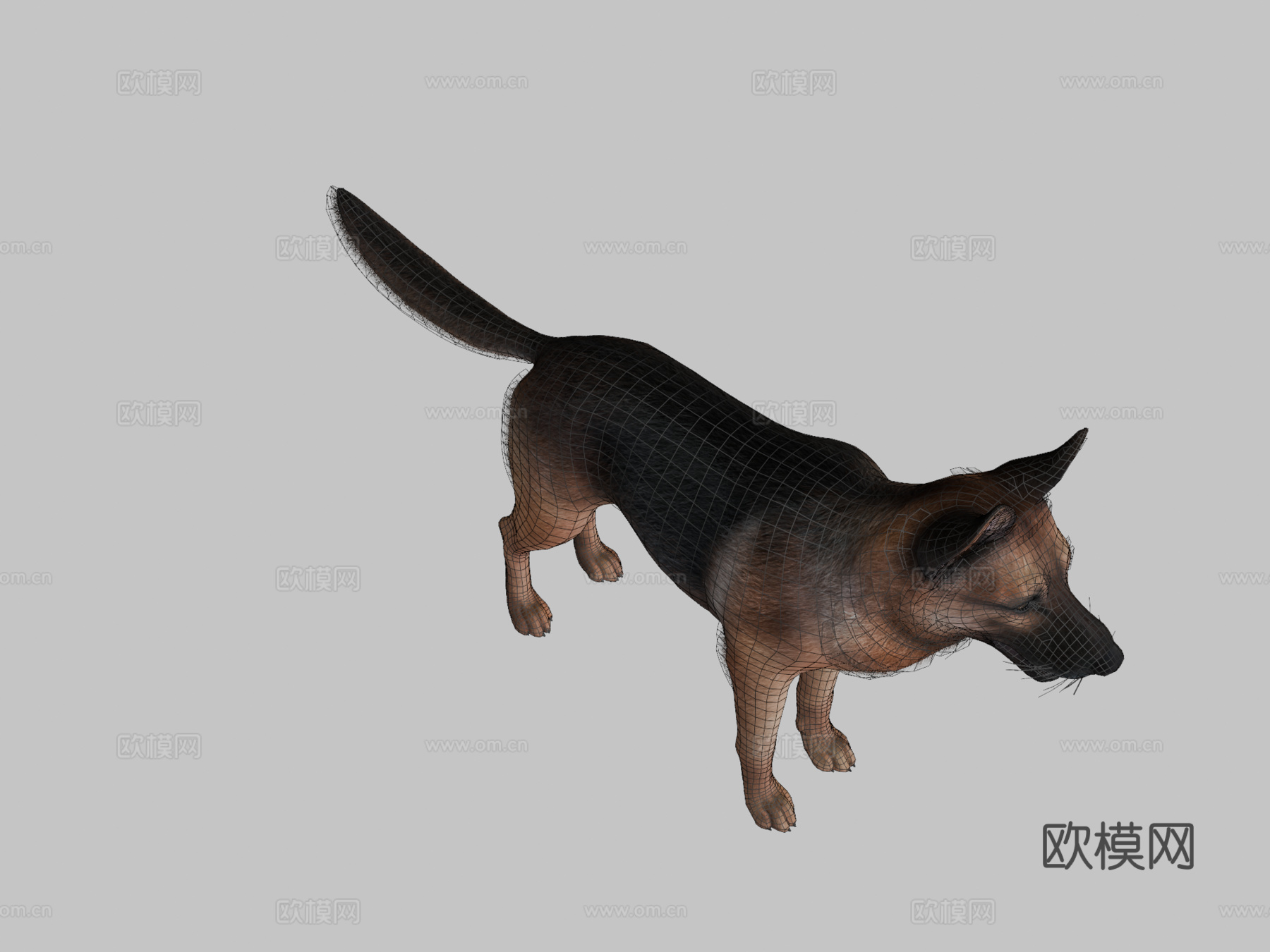 狗牧羊犬v2su模型