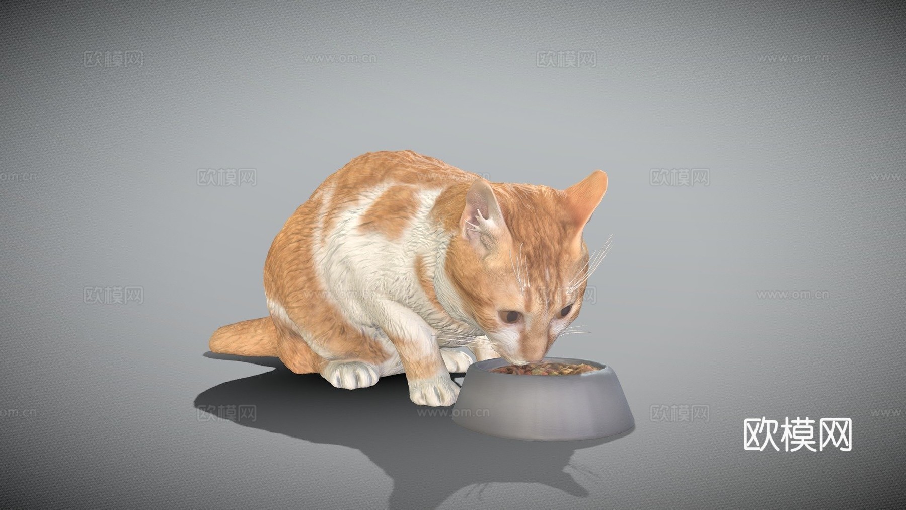 进食的猫12su模型