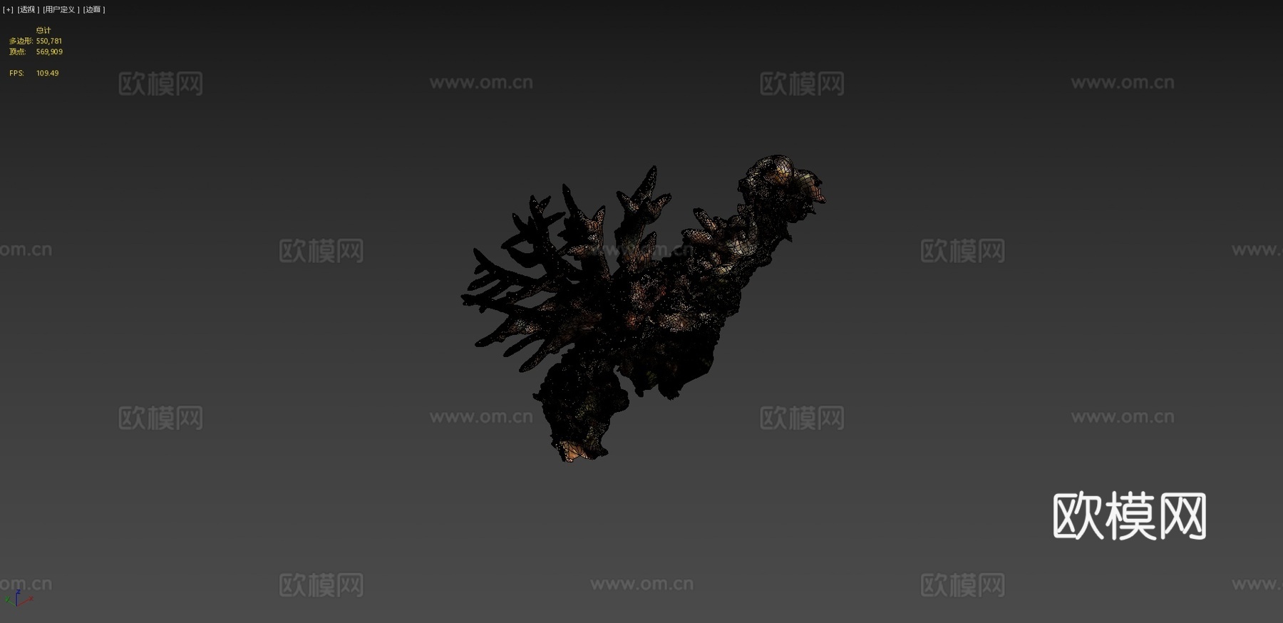 鹿角珊瑚鹿角珊瑚属su模型