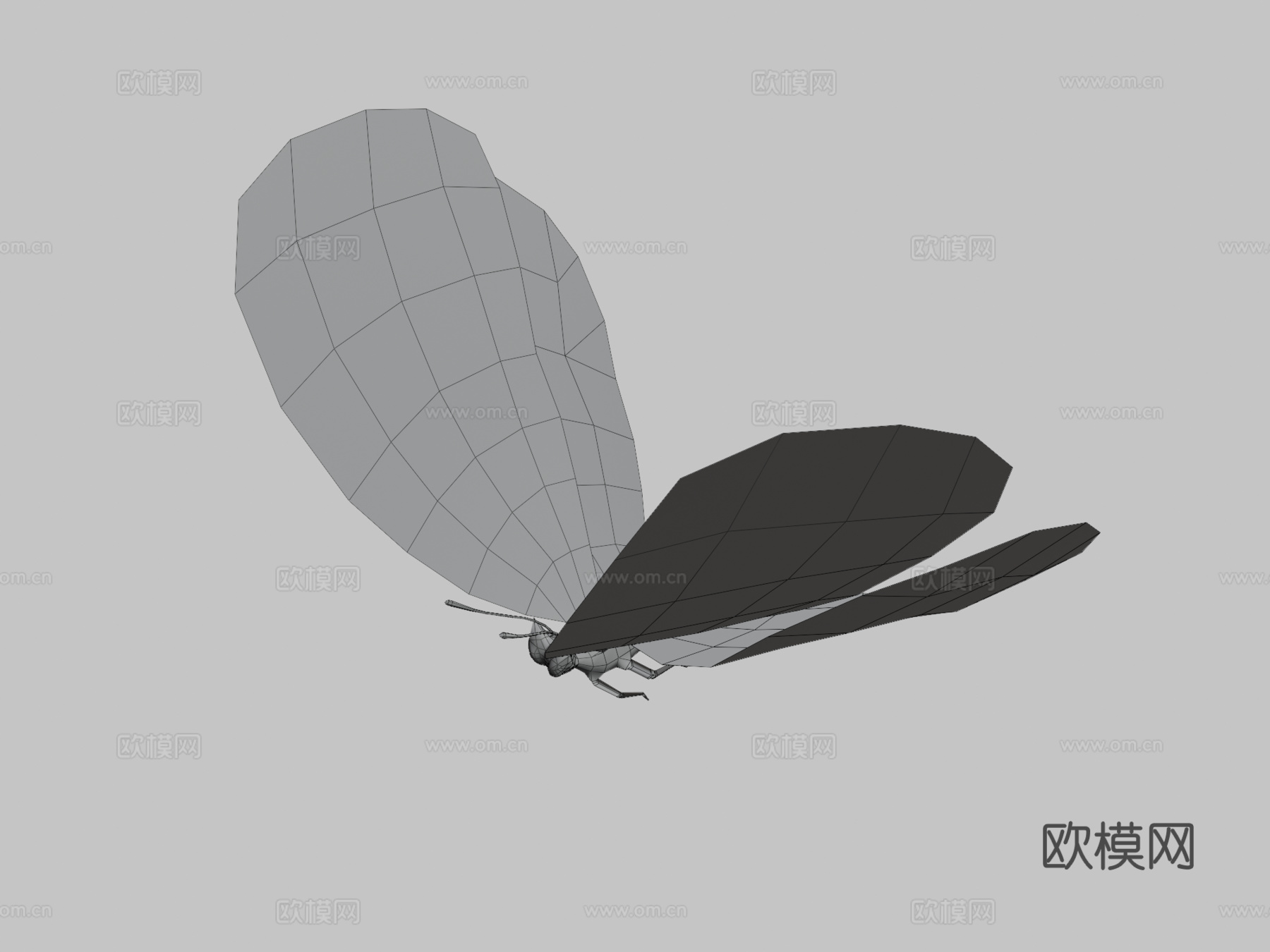 大虎斑蝶绑定su模型