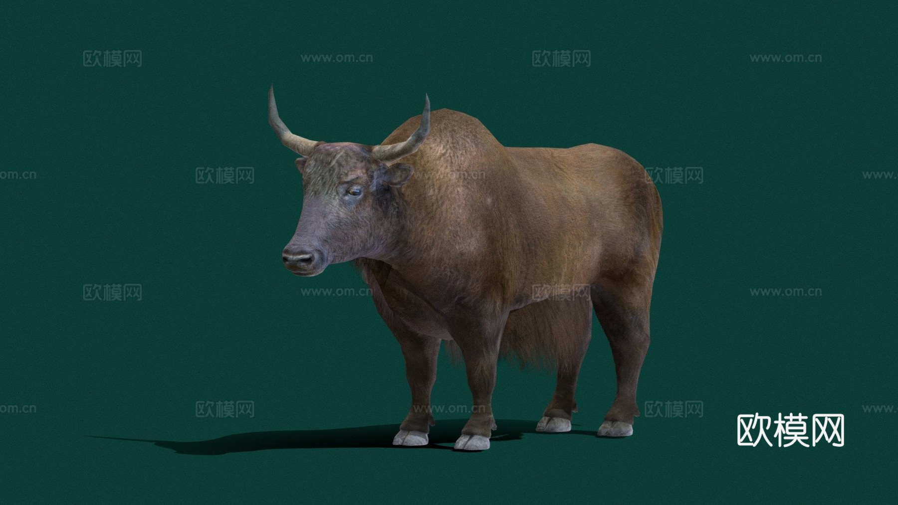 家养牦牛低多边形su模型