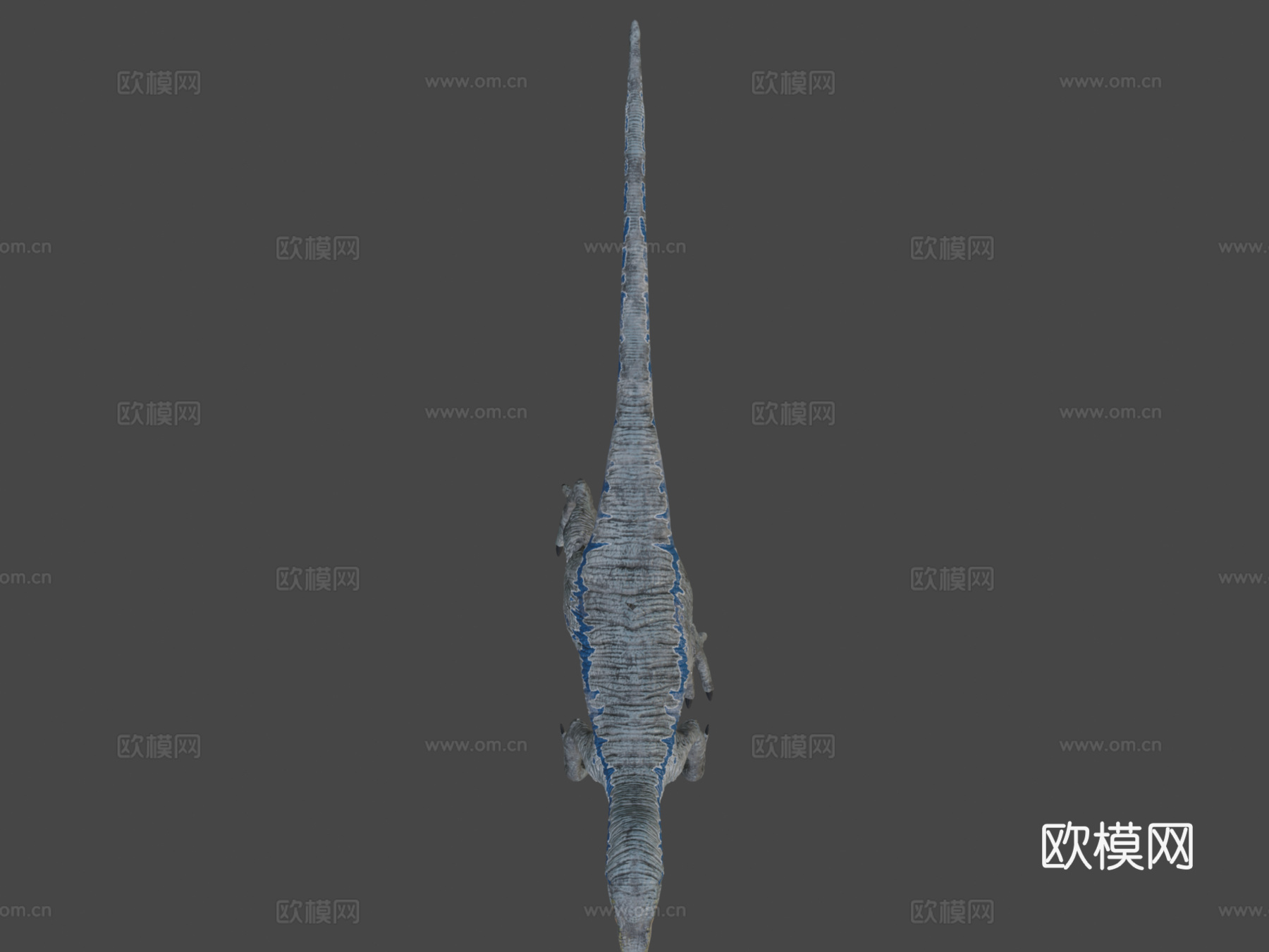 蓝色行走循环su模型下载（渲染图7）