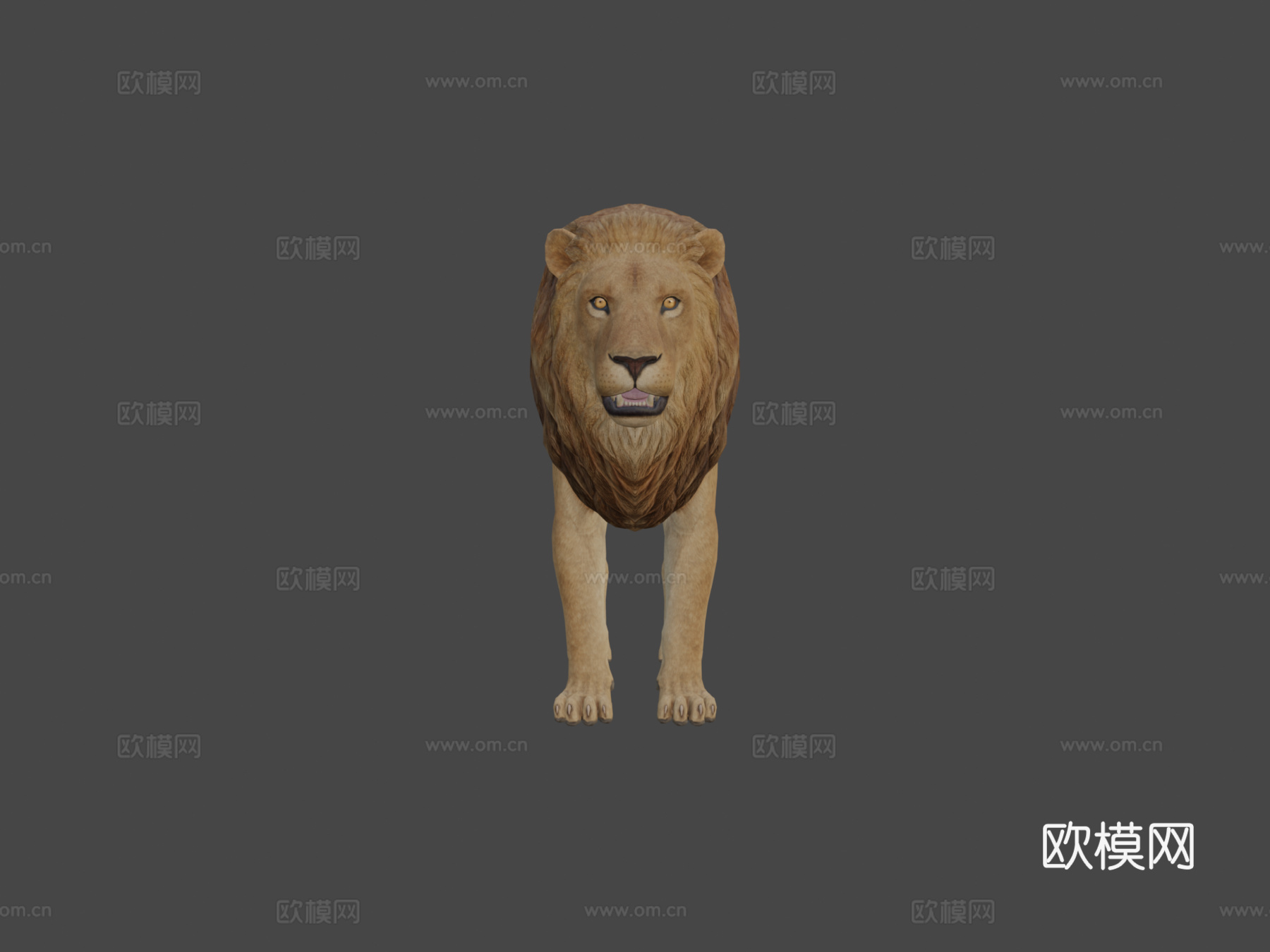 狮子su模型