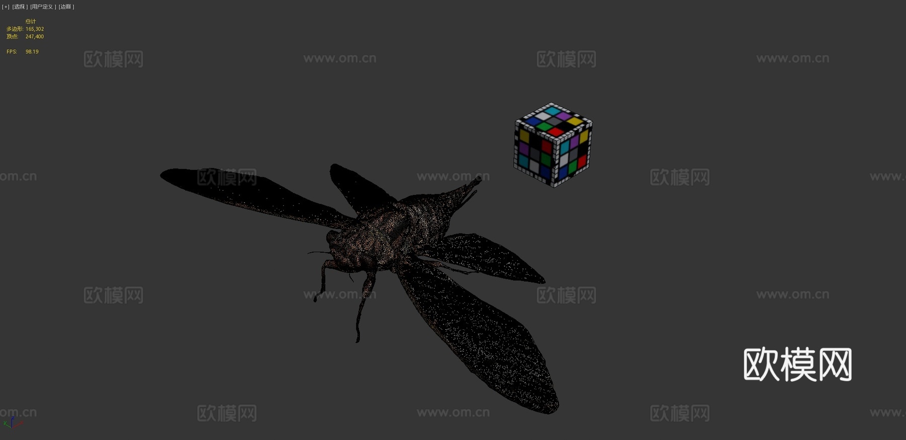 CC0岩崎蝉岩崎蝉鸣蝉属岩崎种su模型