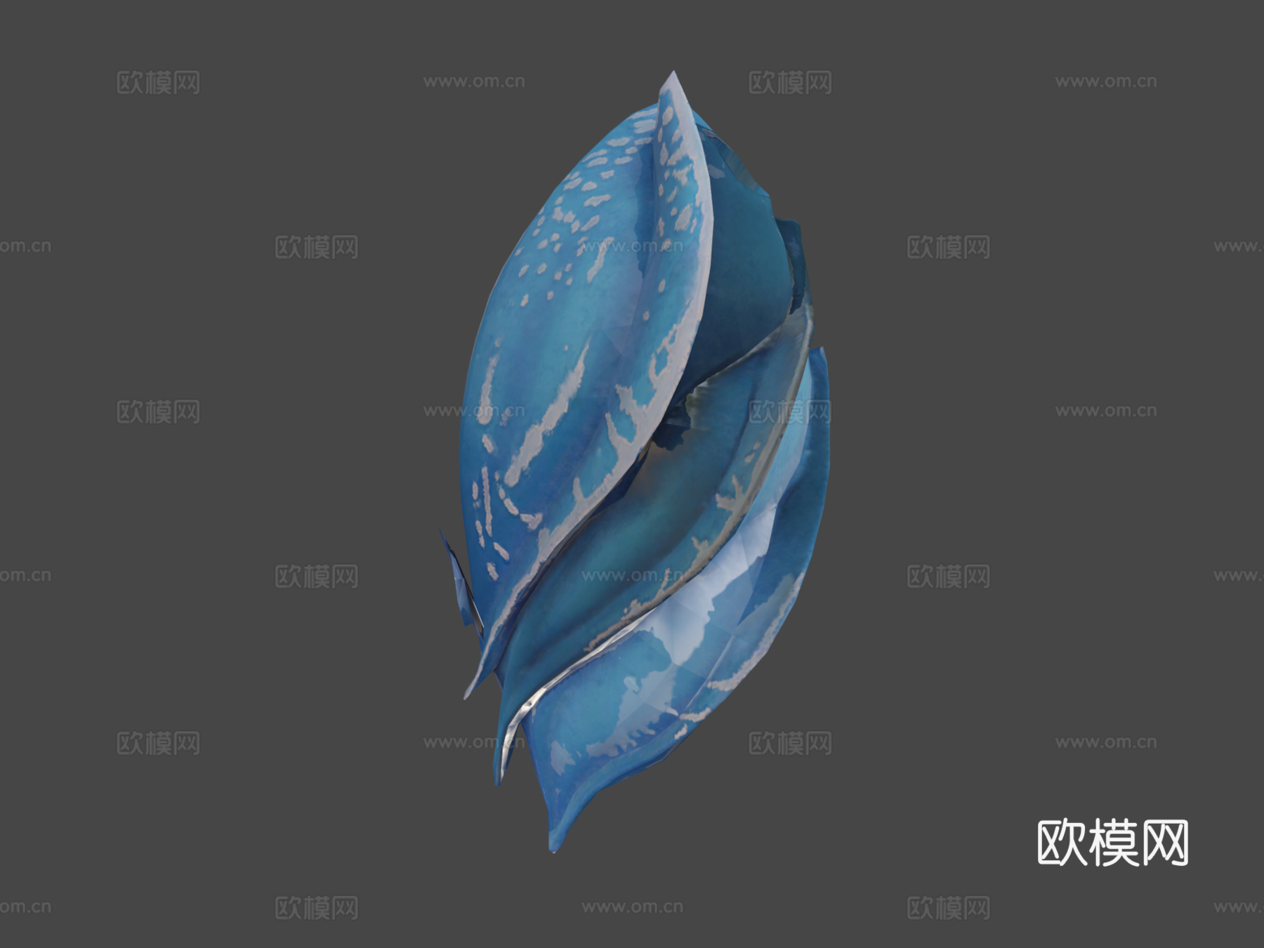 鱿鱼鲨蛋su模型