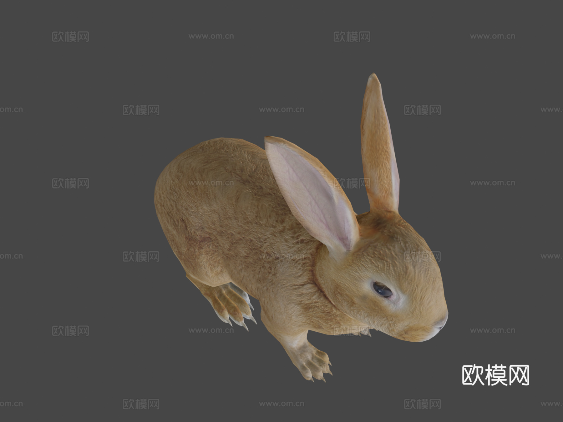 棕色小兔兔低多边形su模型