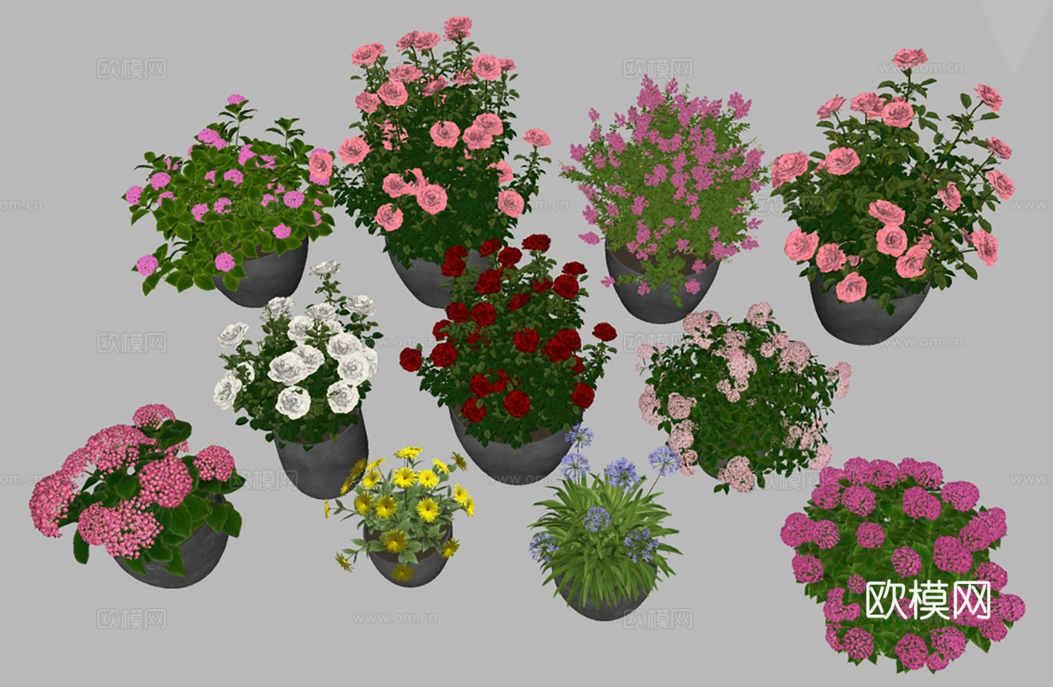 盆栽 月季花绣球花 花卉花草 花境 植物绿植 阳台绿植su模型