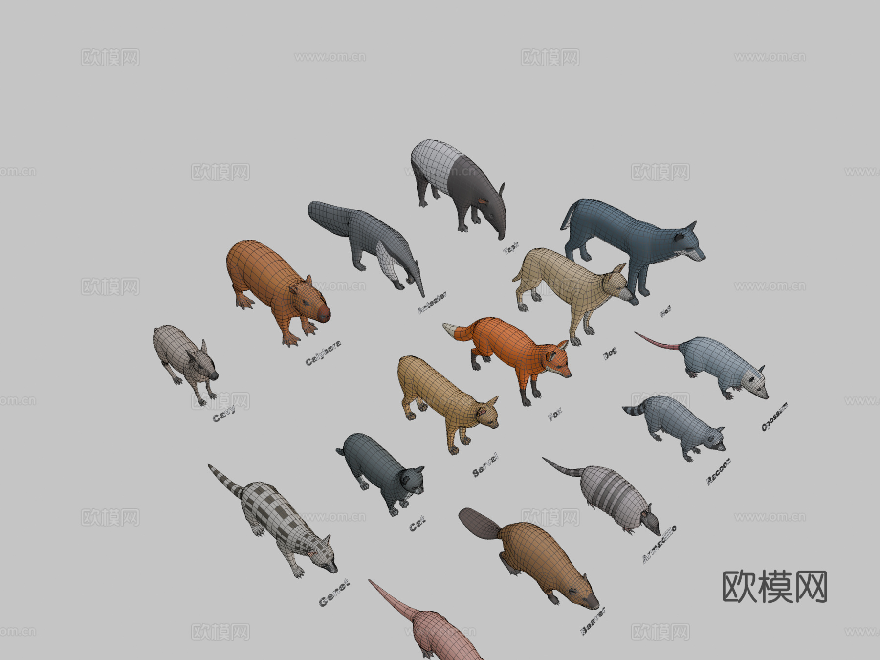 动物包中型野兽su模型