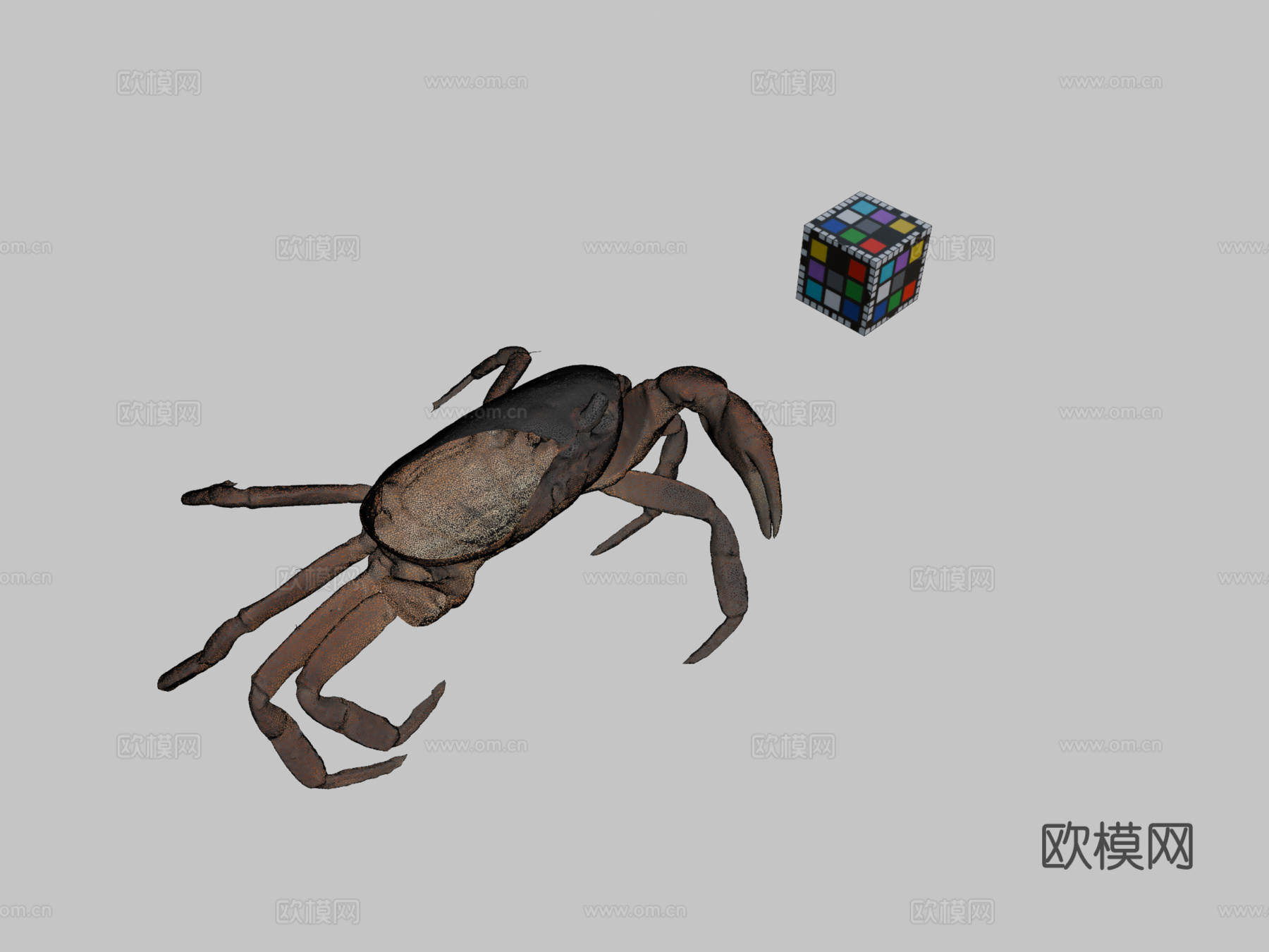 CC0泽蟹日本淡水蟹su模型