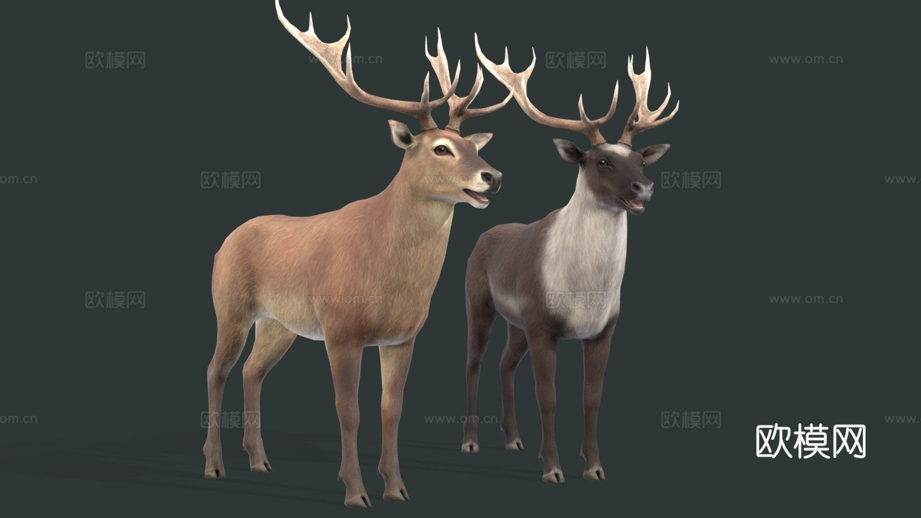 鹿纹理测试su模型