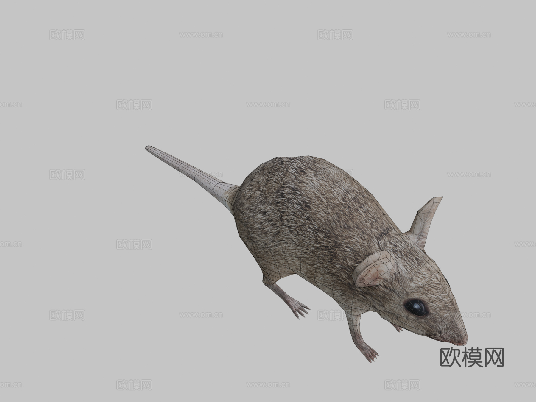 RT鸟类与小动物老鼠su模型