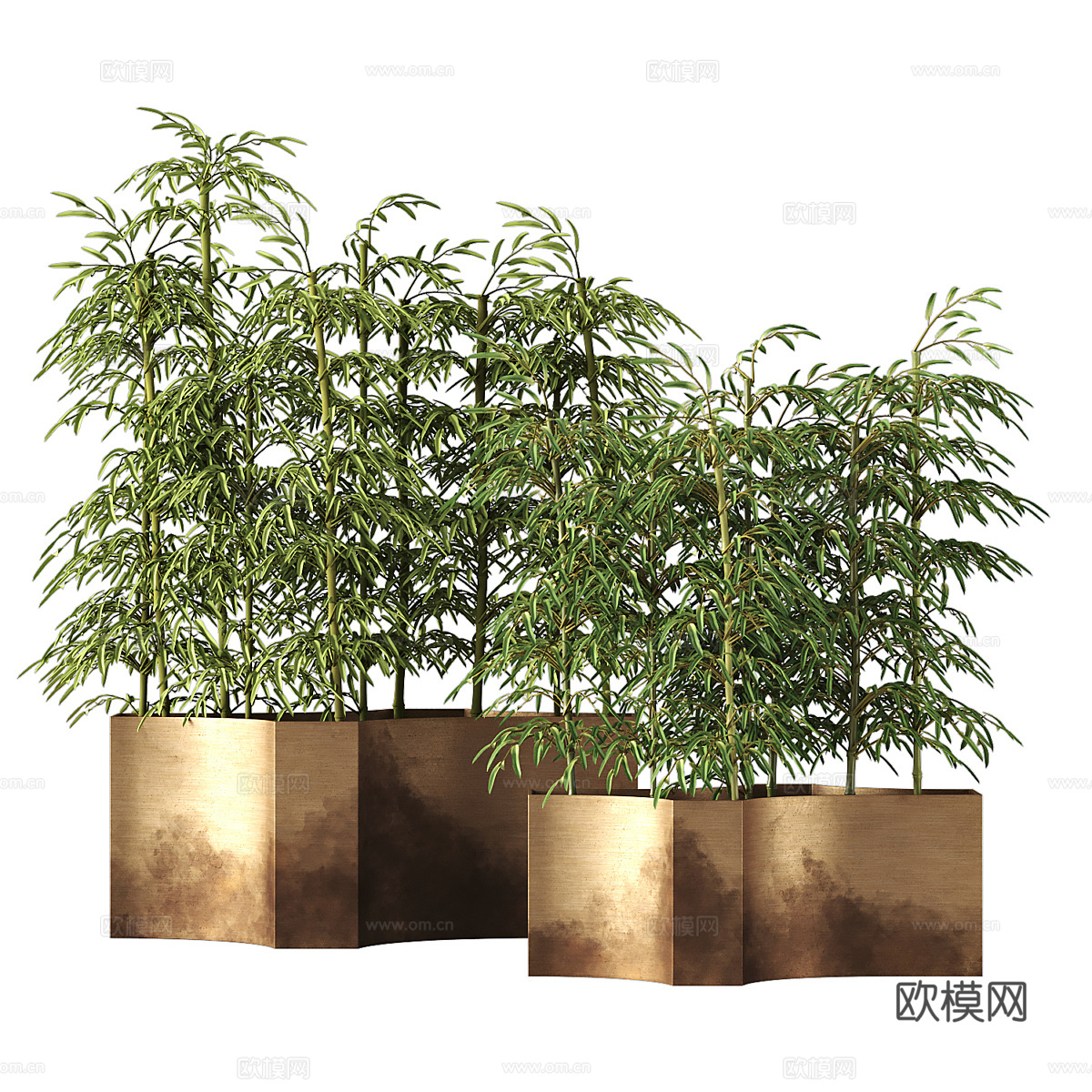 植物盆景3d模型