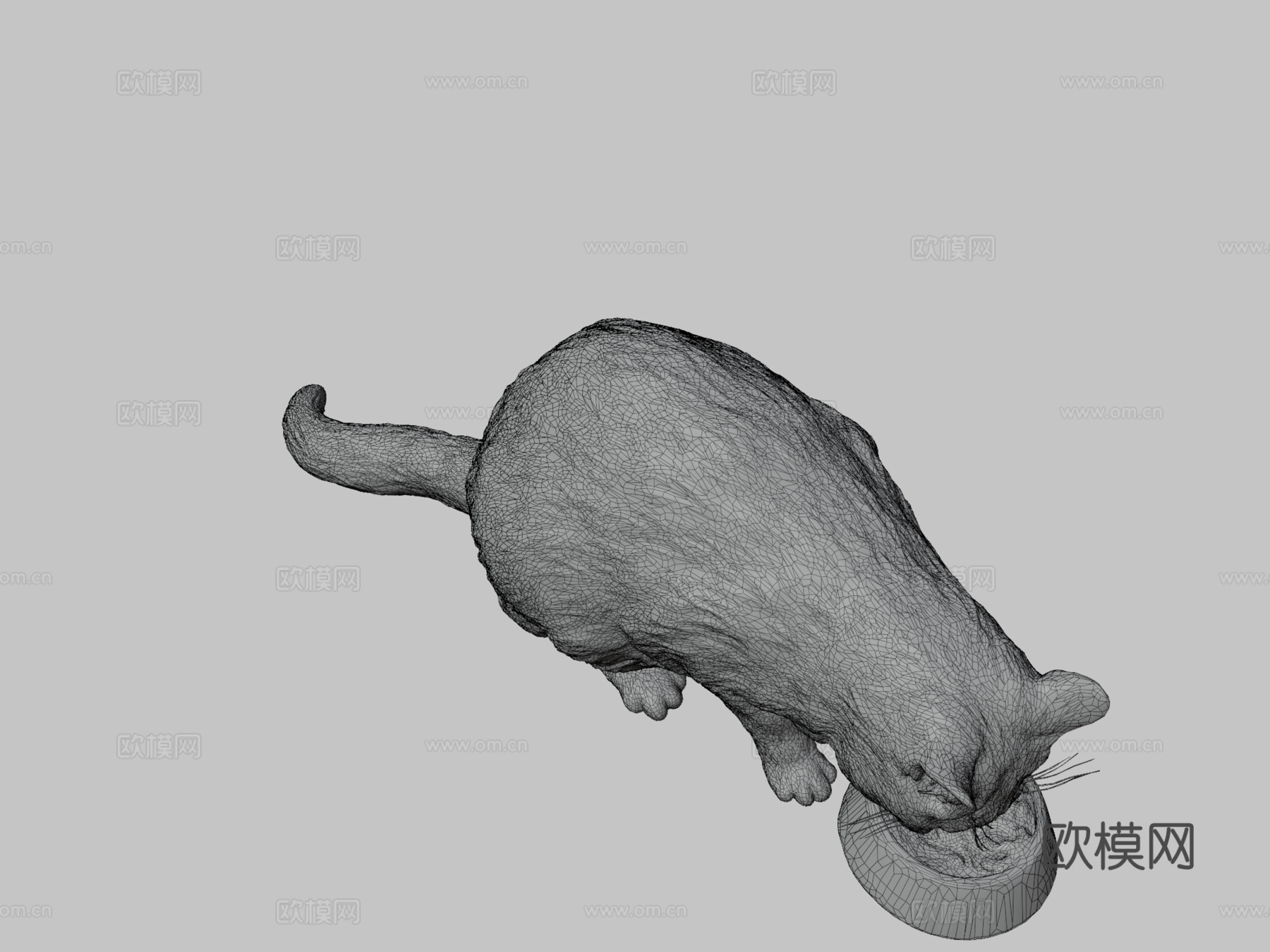 进食的猫12su模型