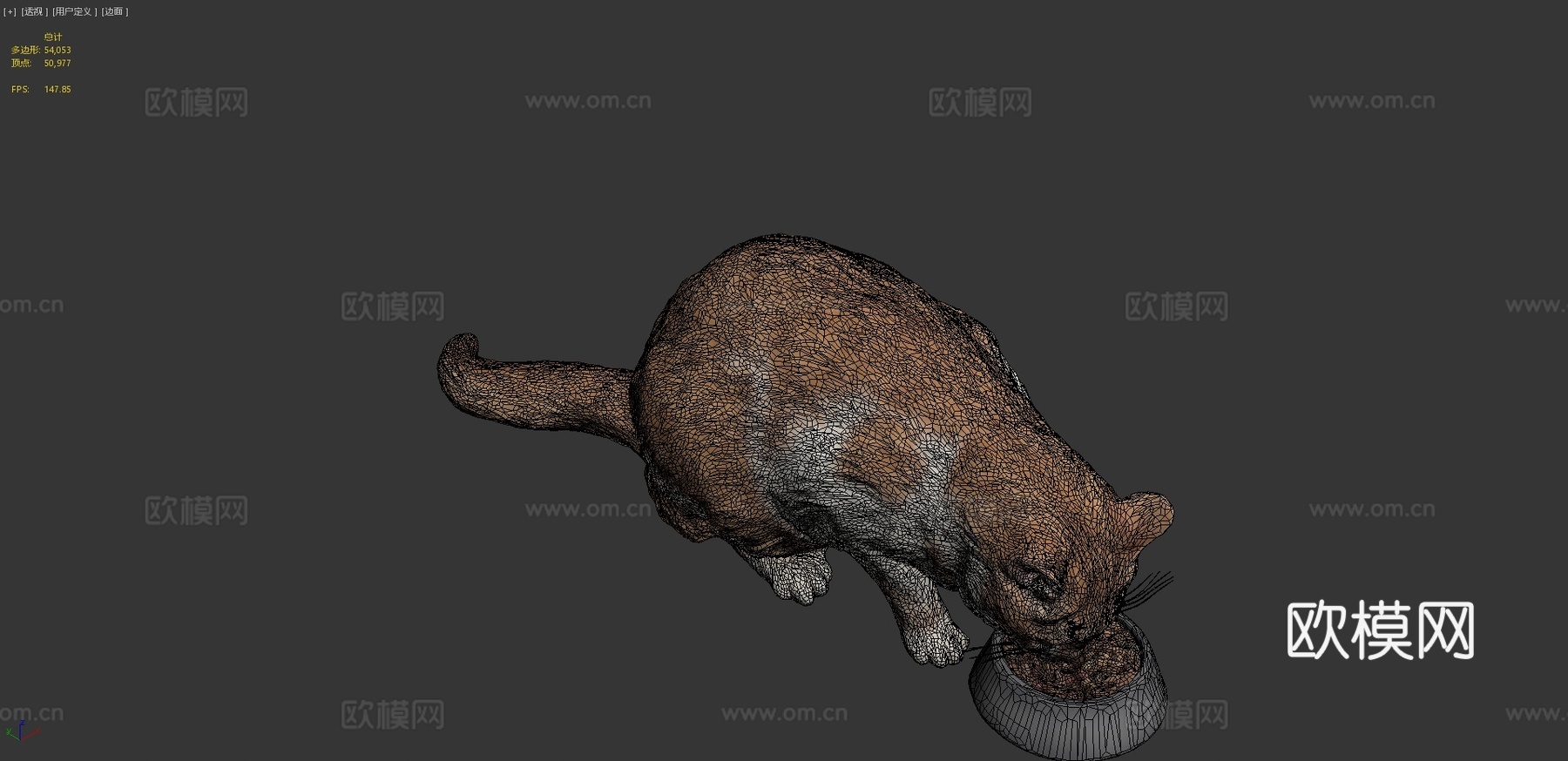 进食的猫12su模型