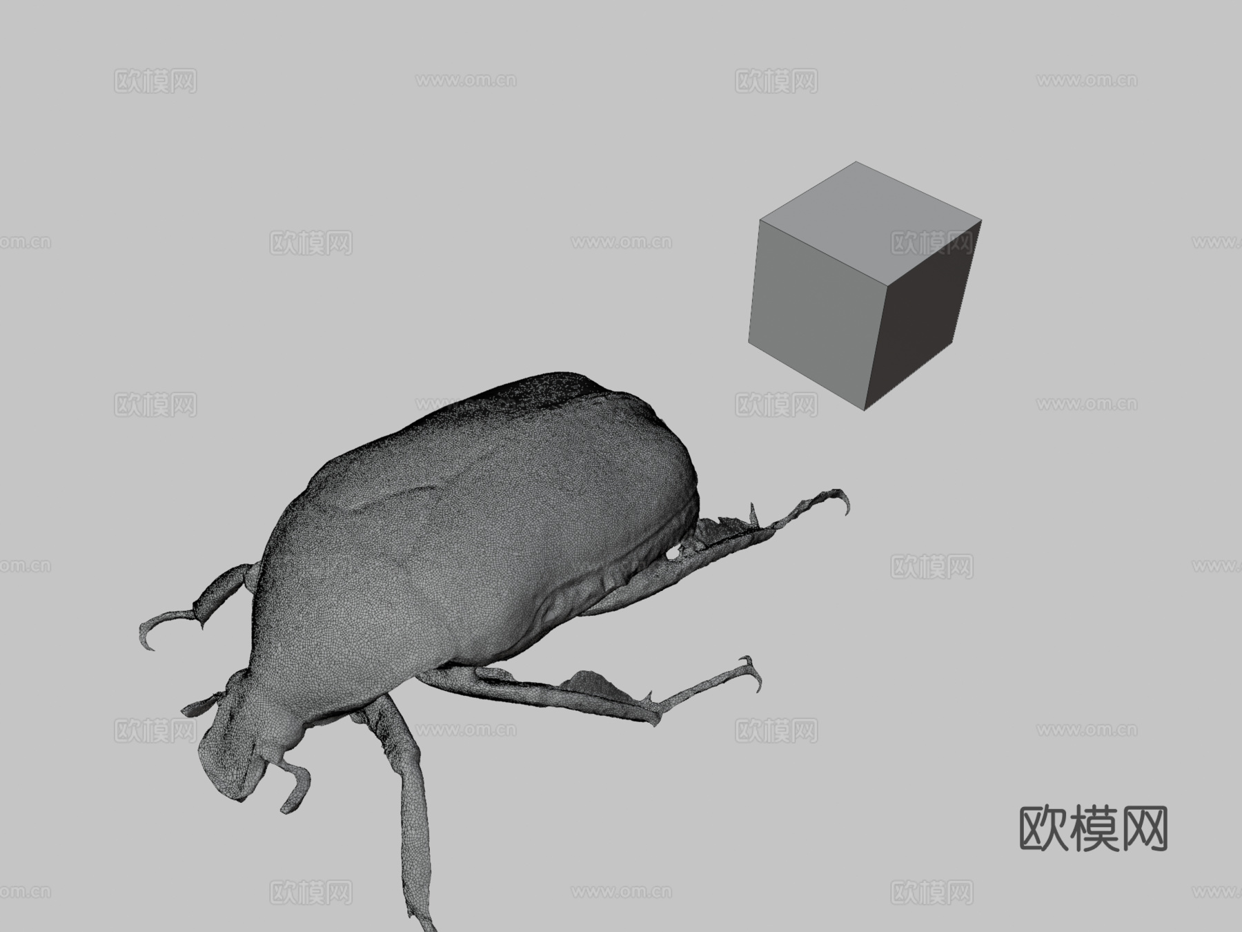 CC0日本金龟子无人机甲虫日本菱金龟su模型