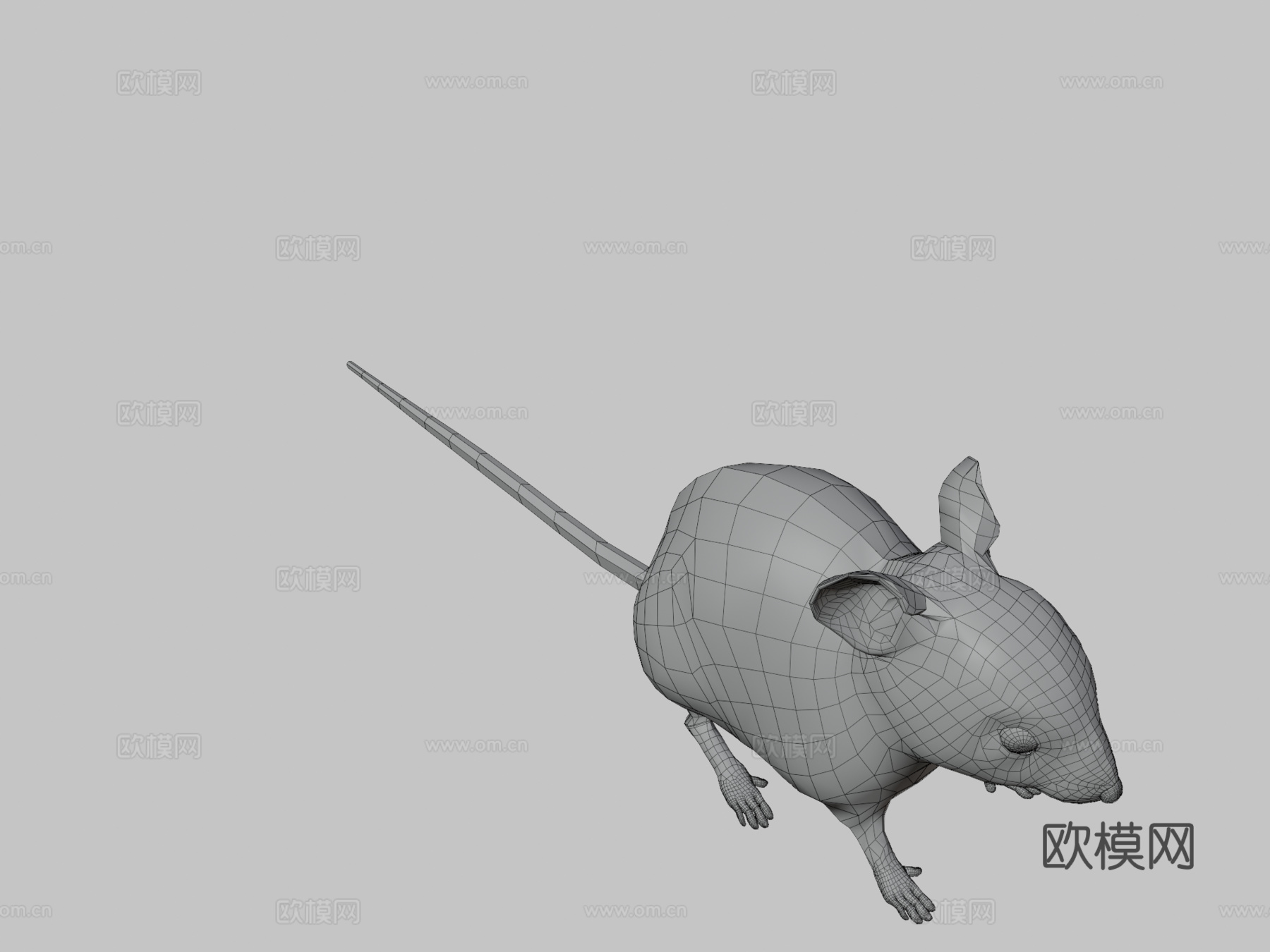 老鼠XGEN毛发系统多色写实风格su模型