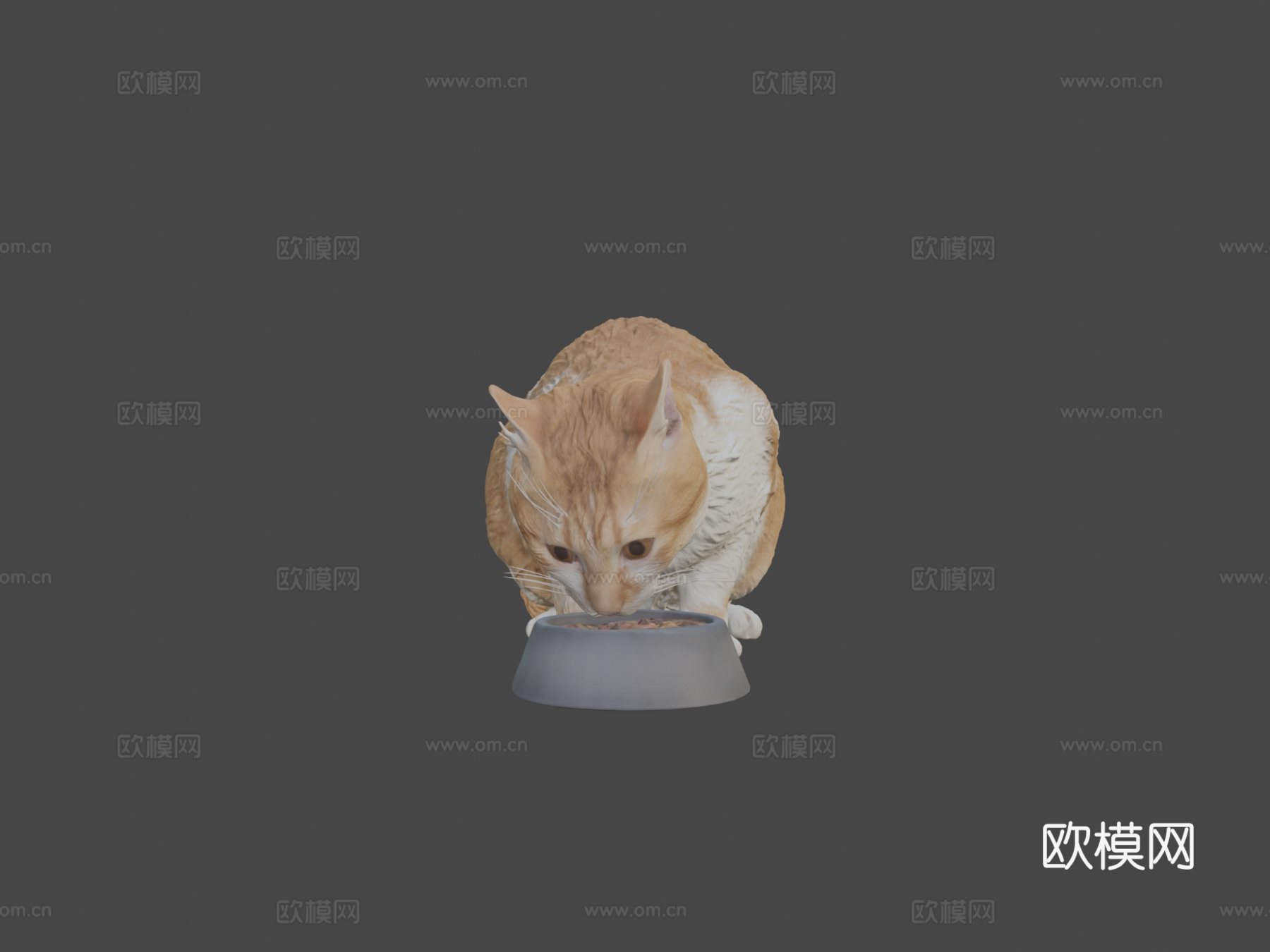 进食的猫12su模型