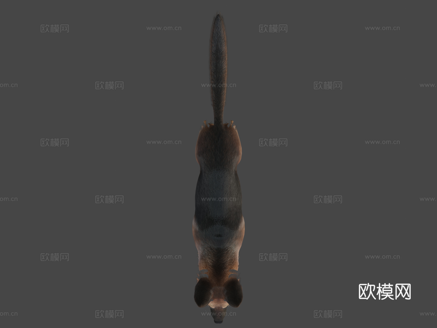 狗牧羊犬v2su模型