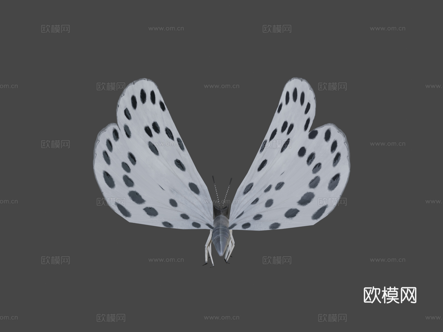 大虎斑蝶绑定su模型