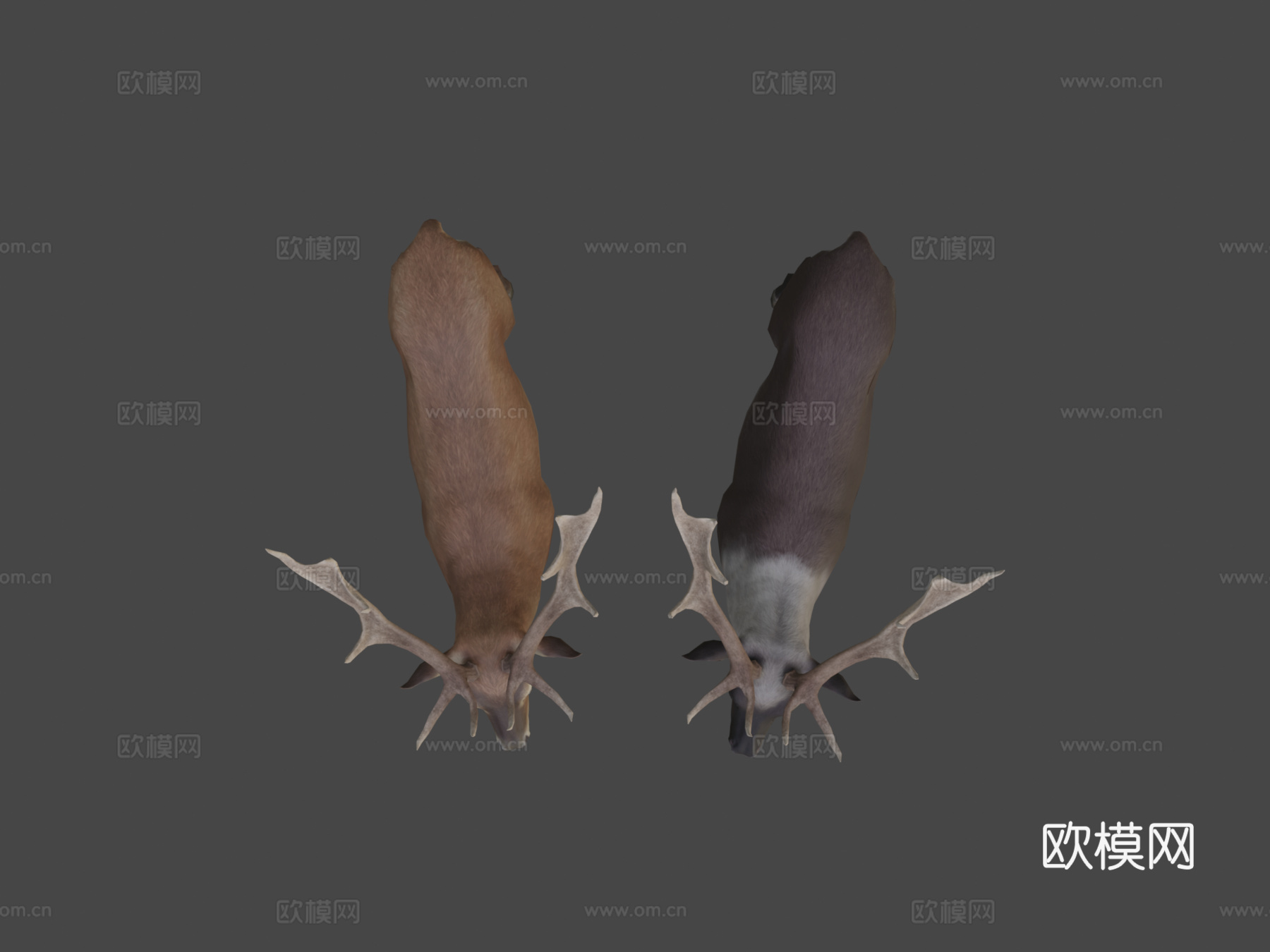 鹿纹理测试su模型