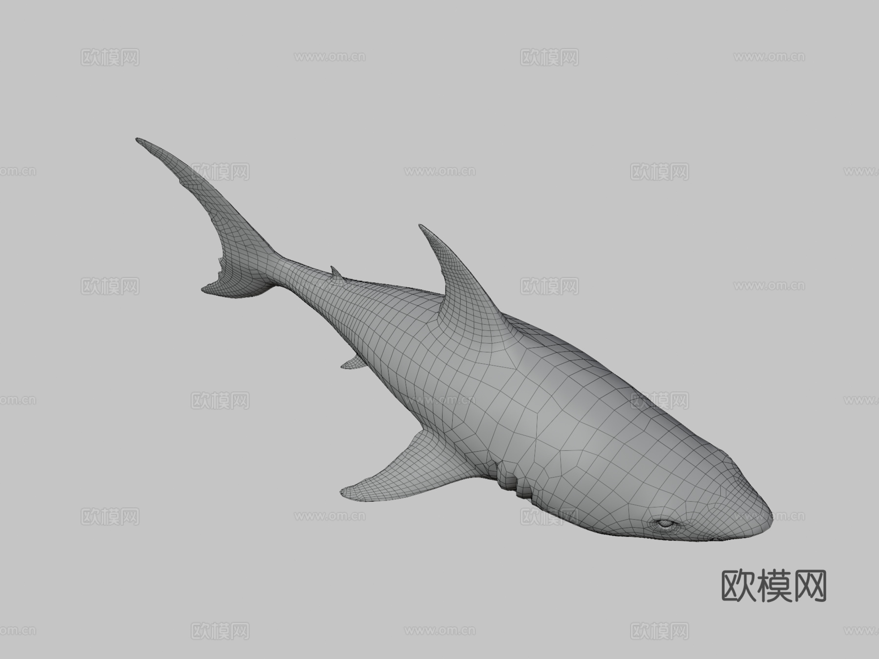 真实鲨鱼su模型