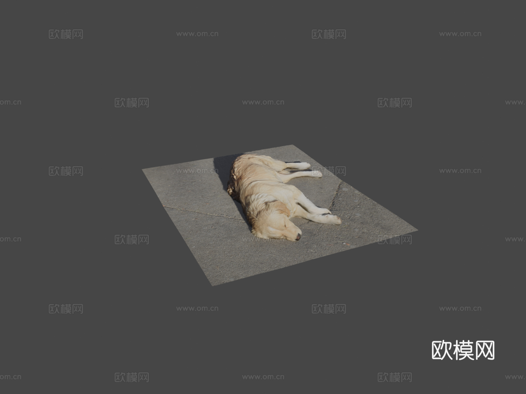 第比利斯流浪狗su模型