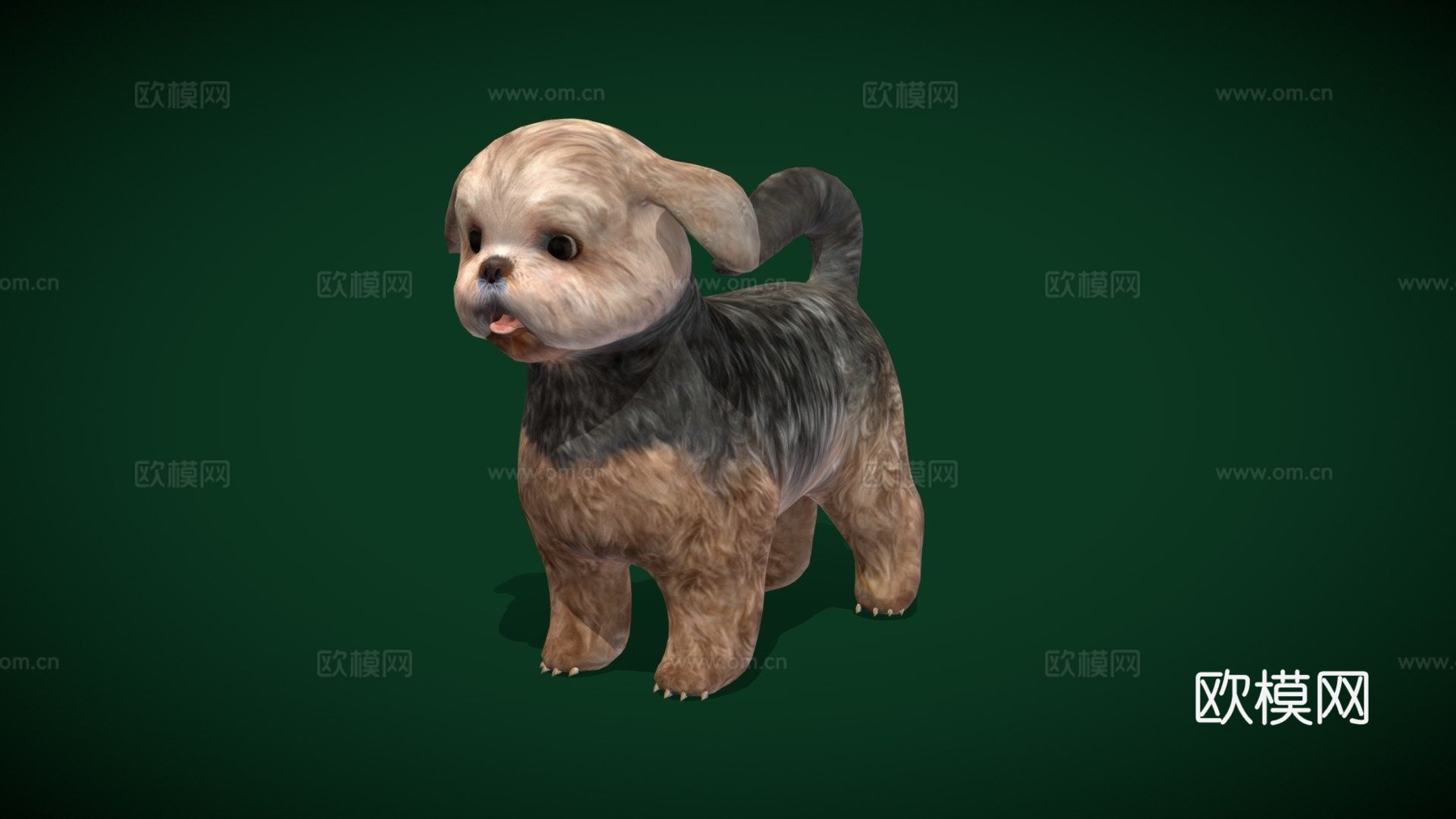 西施犬品种低多边形su模型