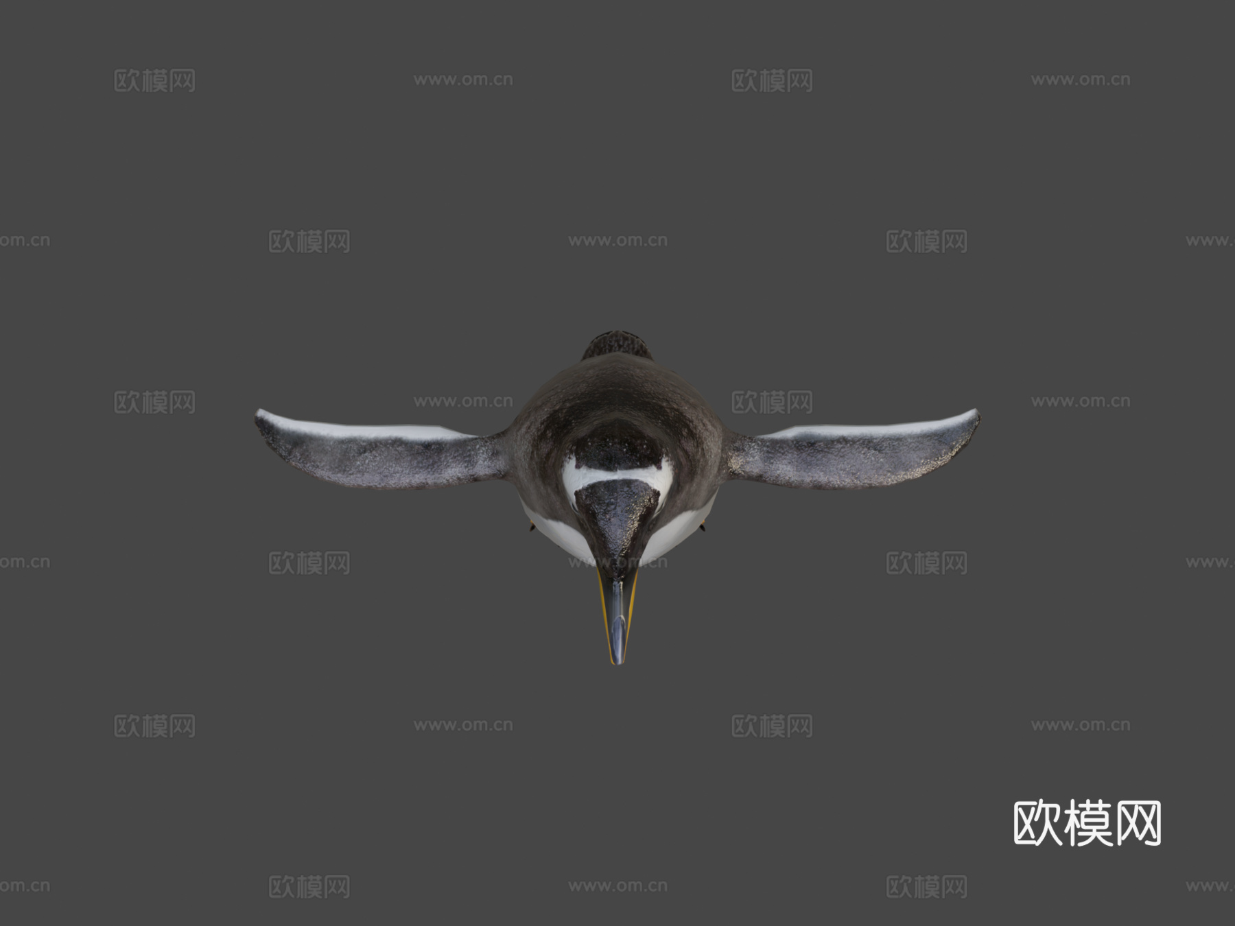 金图企鹅动物园su模型