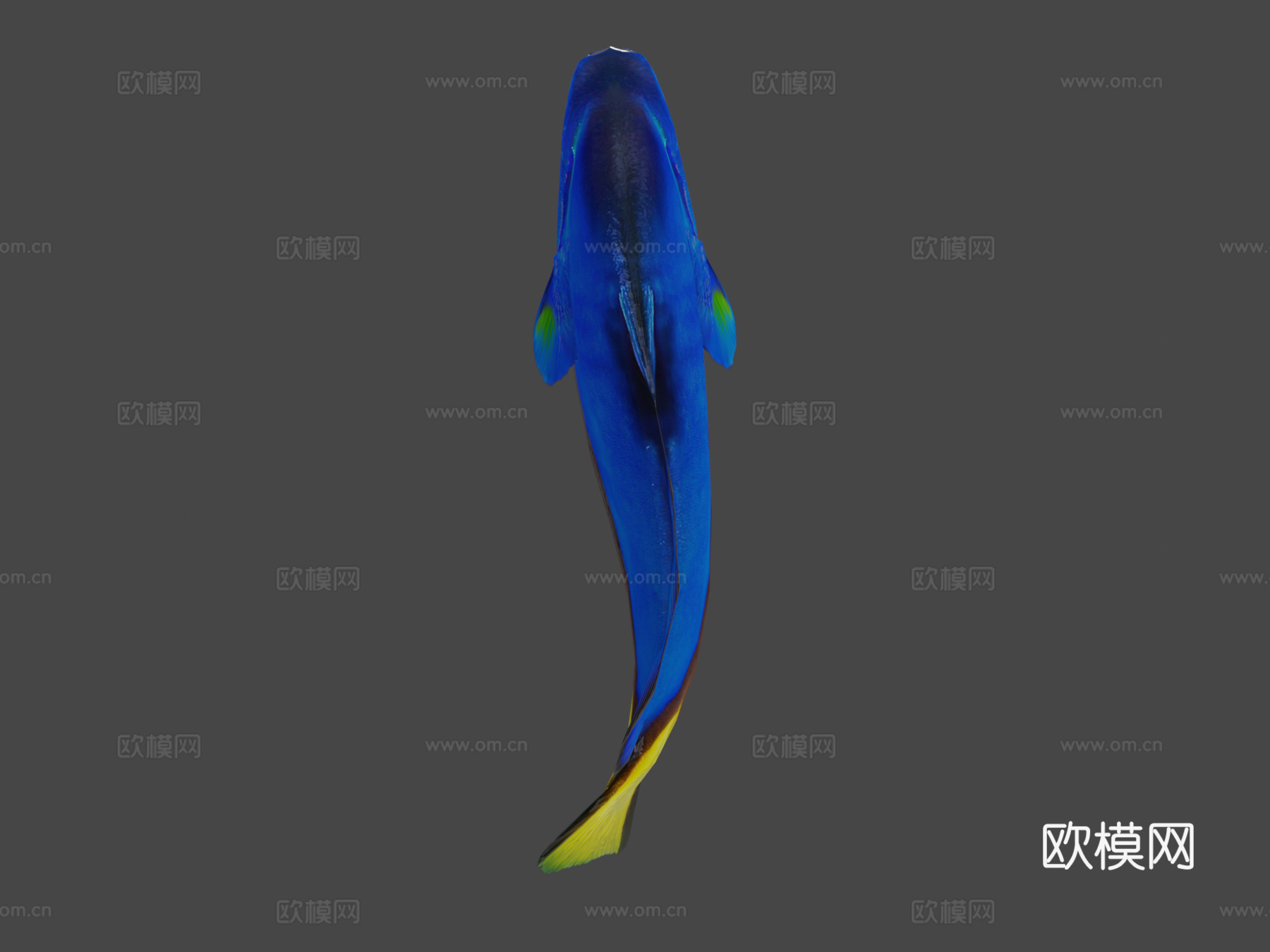 多莉su模型下载（渲染图6）