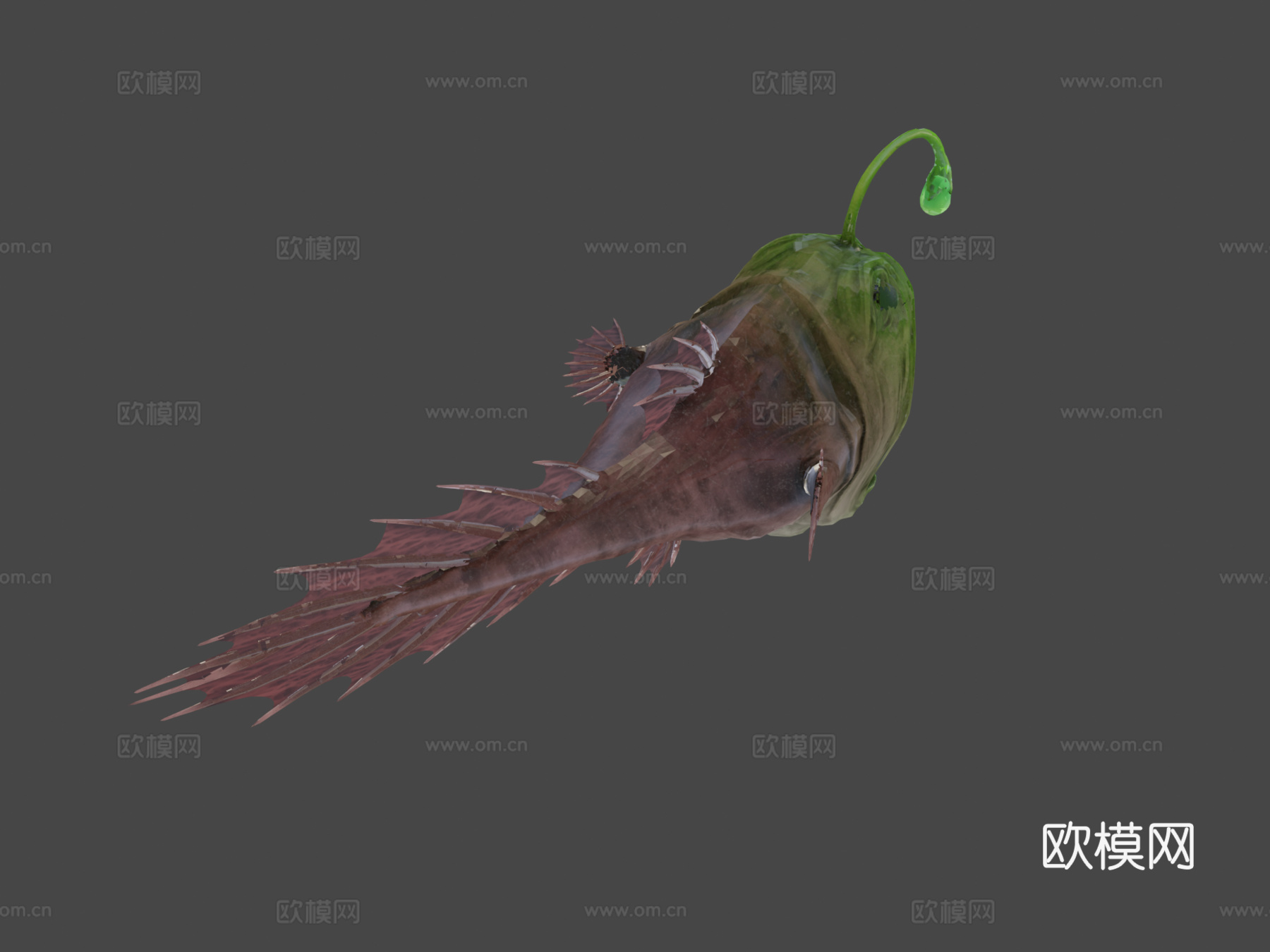 琵琶鱼su模型下载（渲染图6）