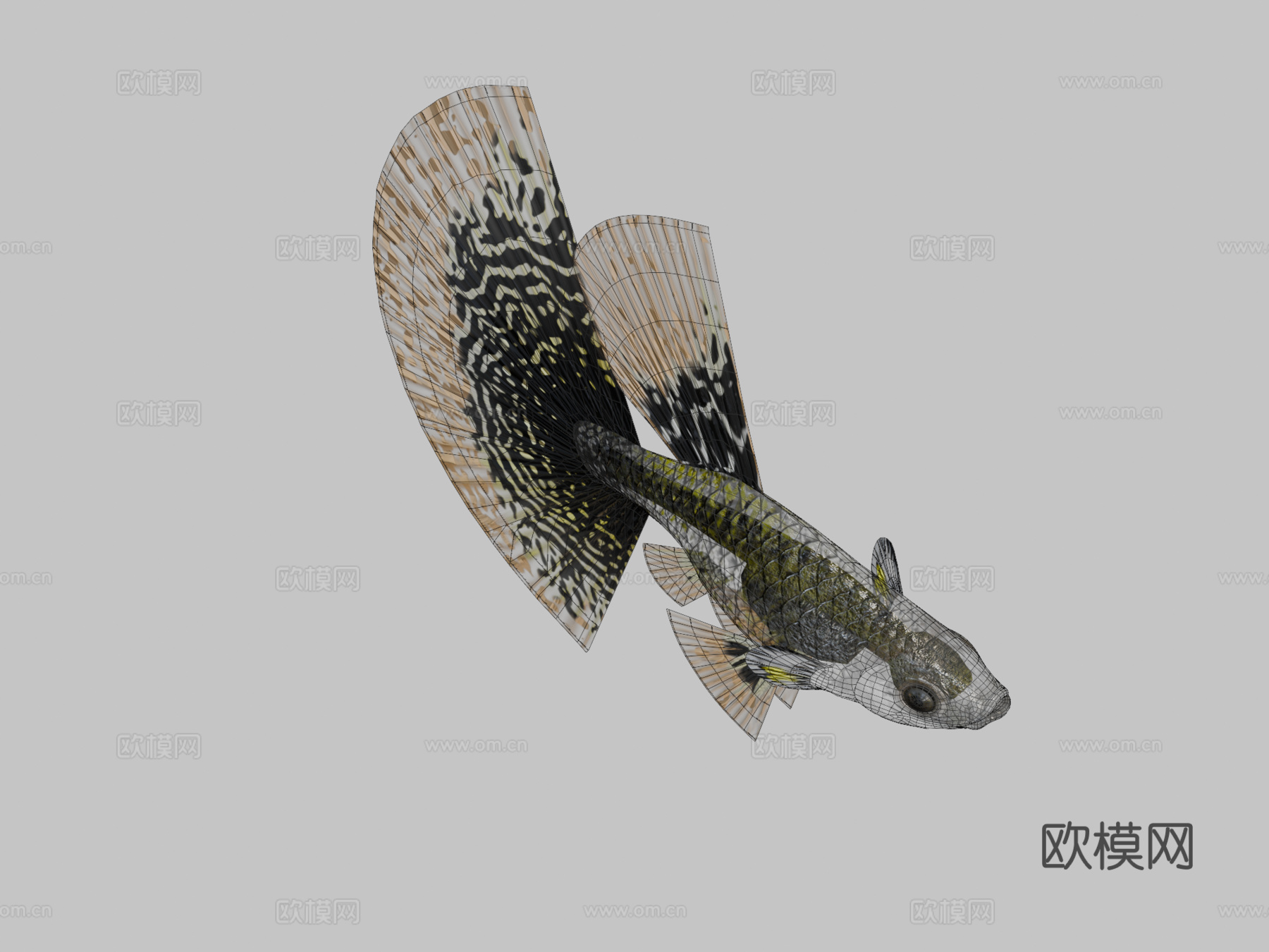 孔雀鱼眼镜蛇豹纹su模型