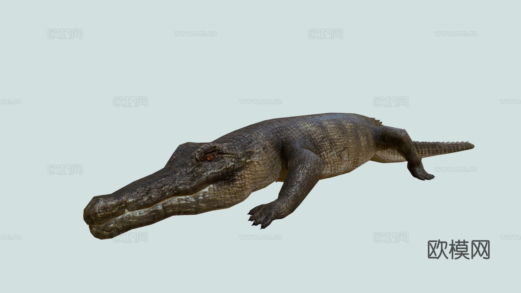 鳄鱼su模型