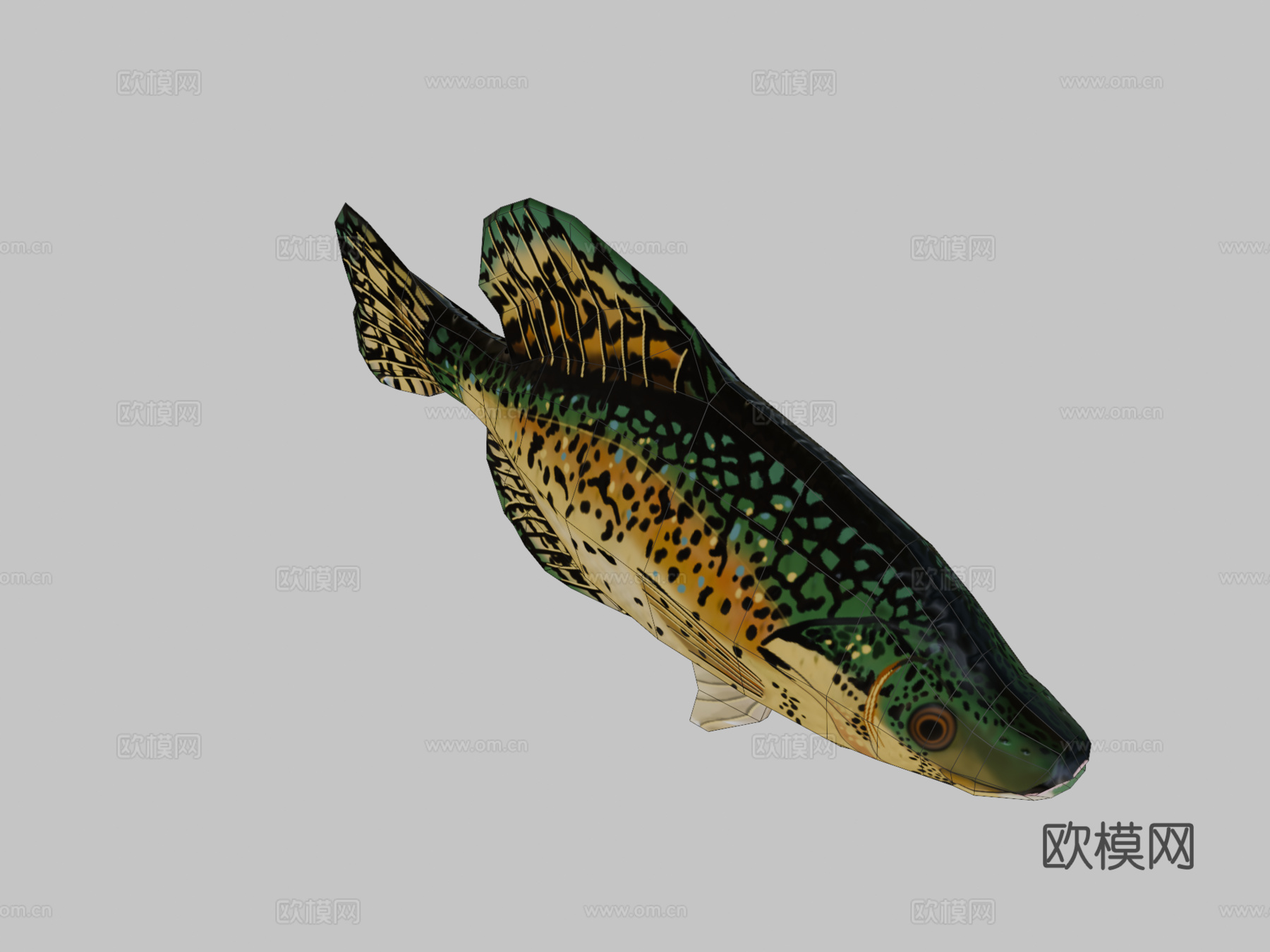 黑莓鲈su模型下载（渲染图2）