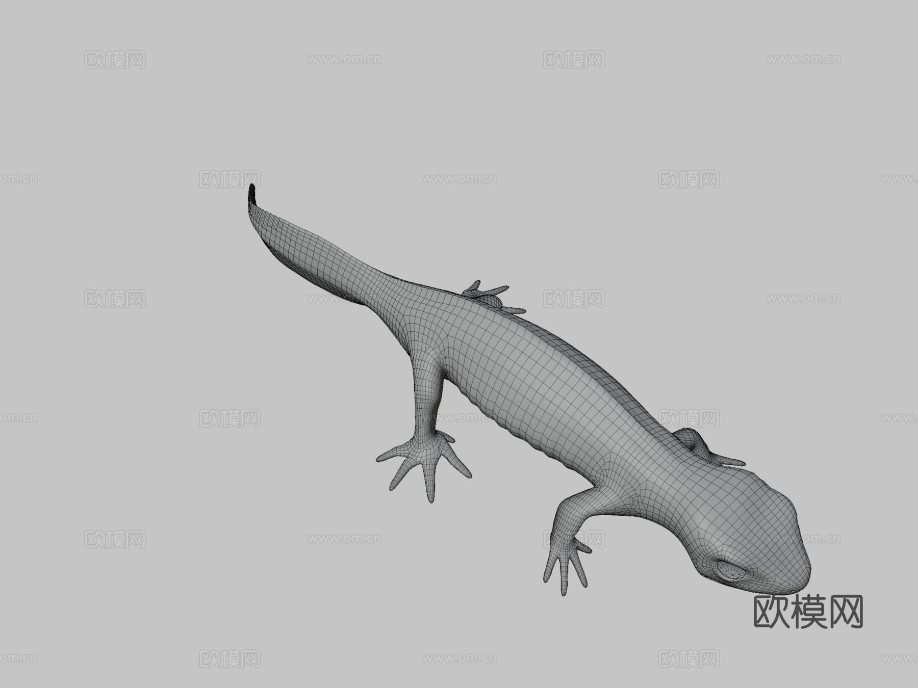 高山蝾螈su模型下载（渲染图3）