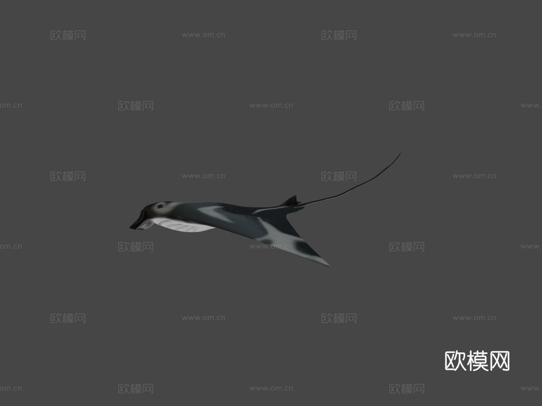 动画蝠鲼su模型