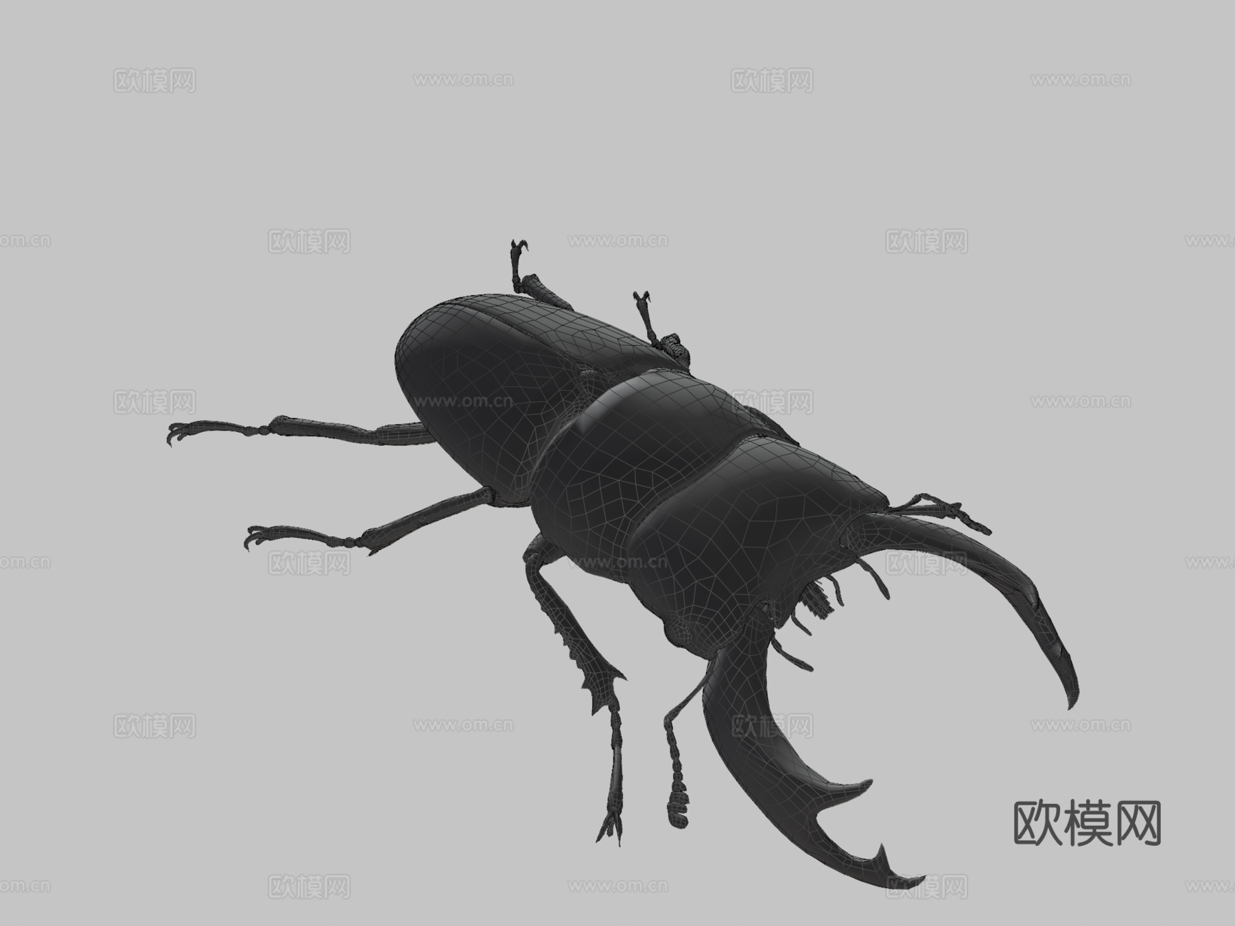 双瘤大锹甲su模型