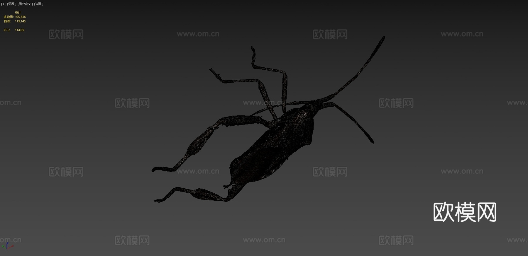 西方瘦足蝽自然历史数字档案DiNArDasu模型