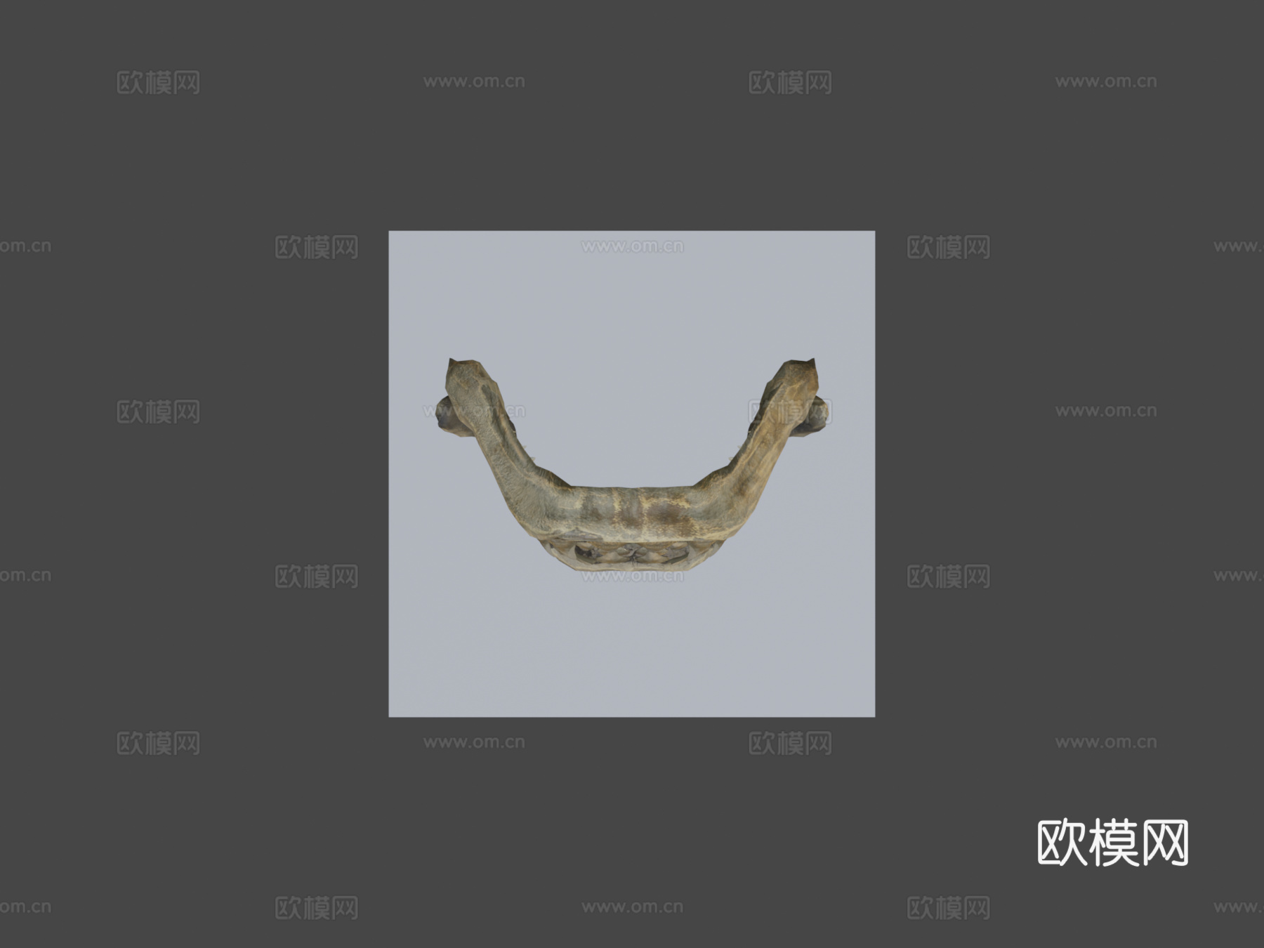 鲨鱼牙su模型下载（渲染图7）