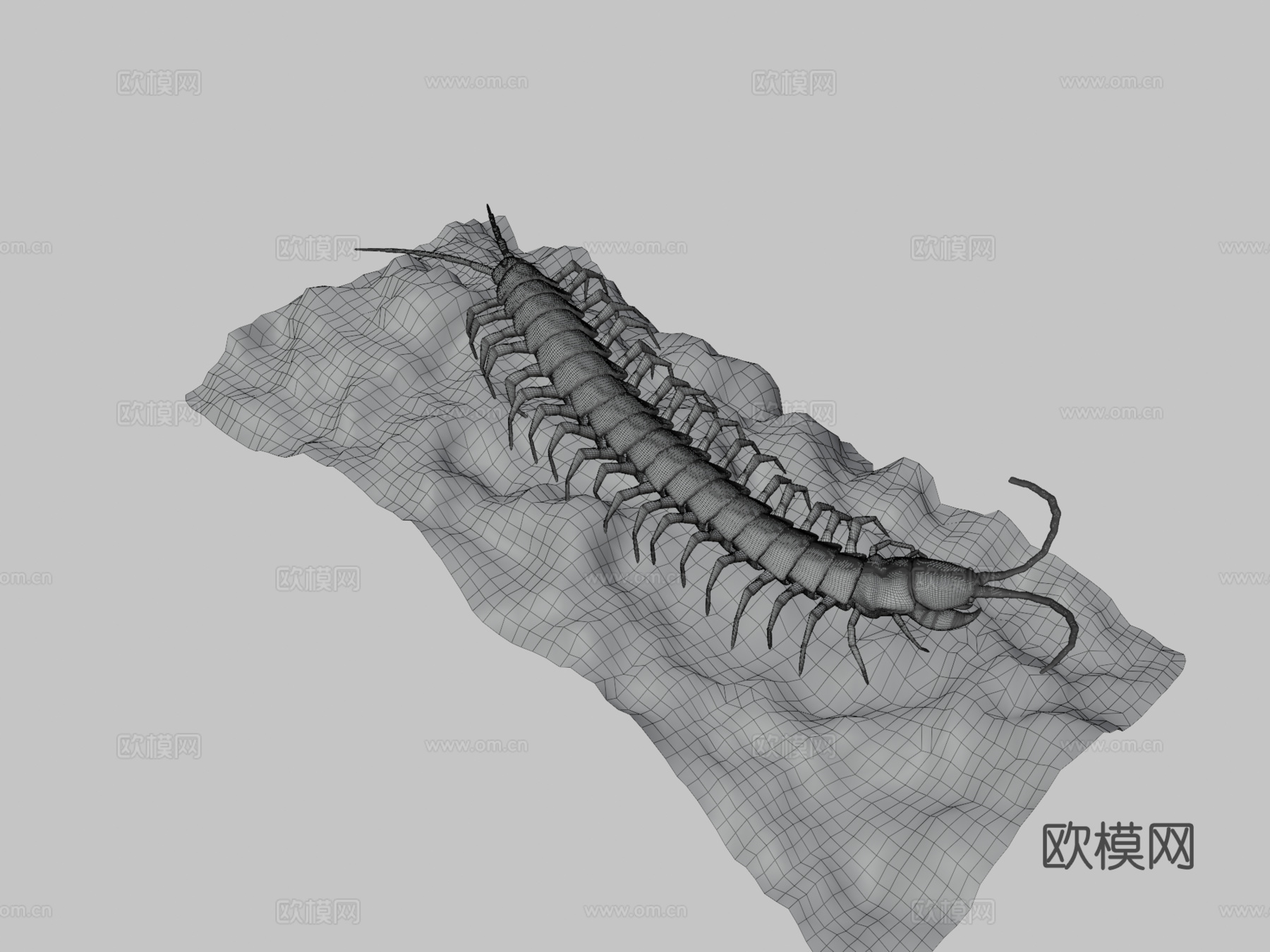 蜈蚣su模型下载（渲染图3）