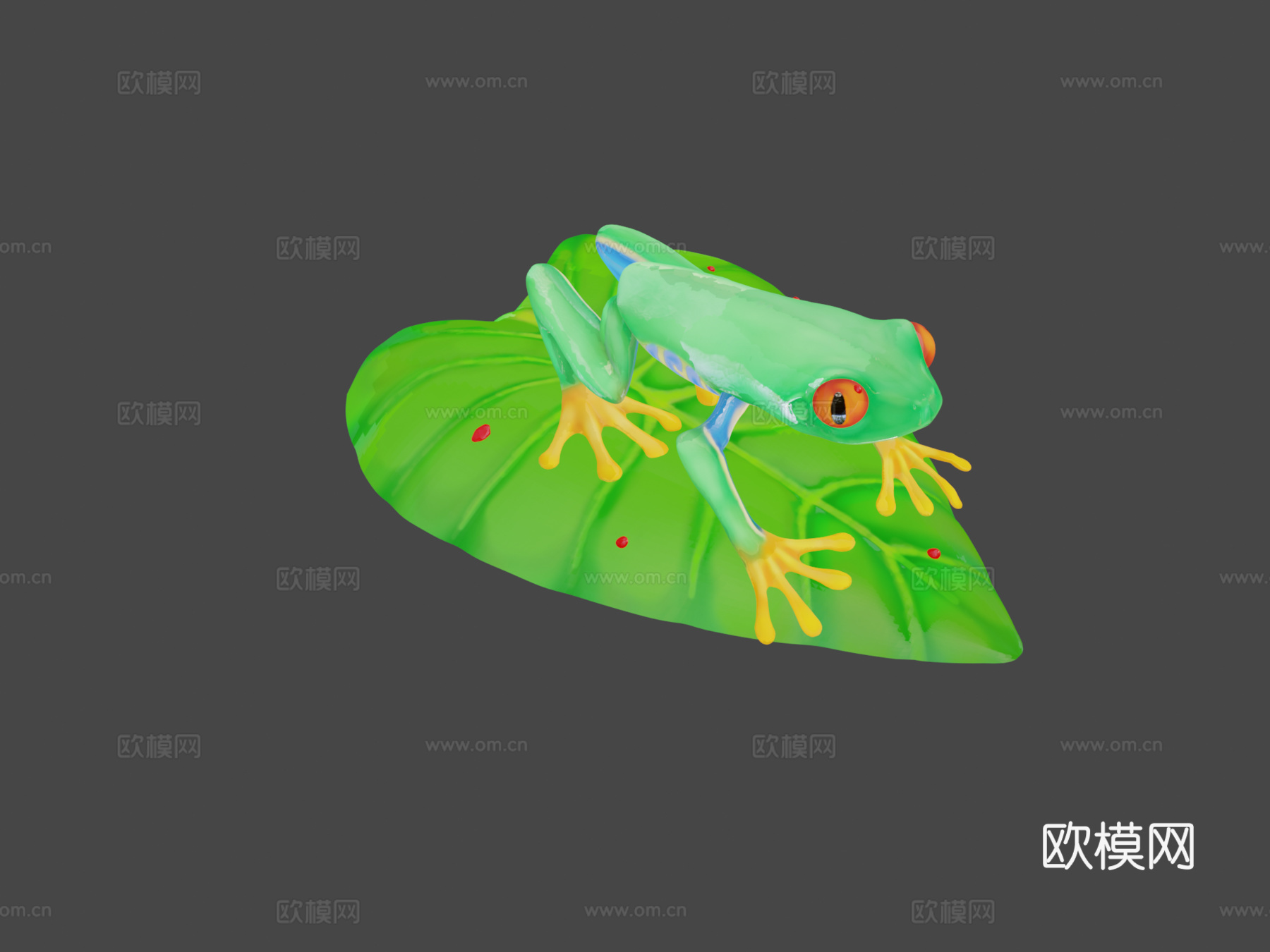 红眼树蛙su模型下载（渲染图7）